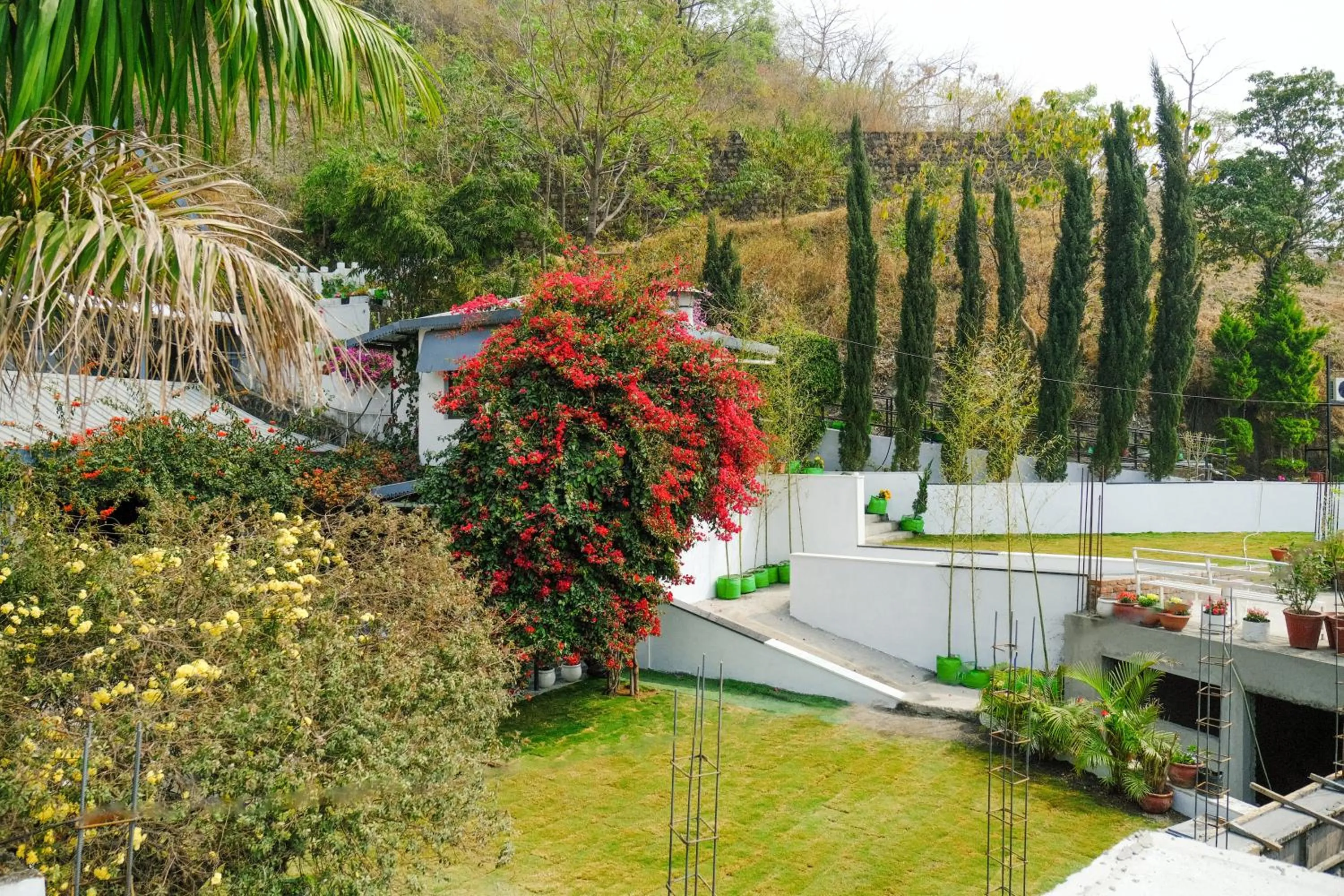 Day in The Bougainvillea Retreat - A Luxury Private Pool Villa in Dehradun