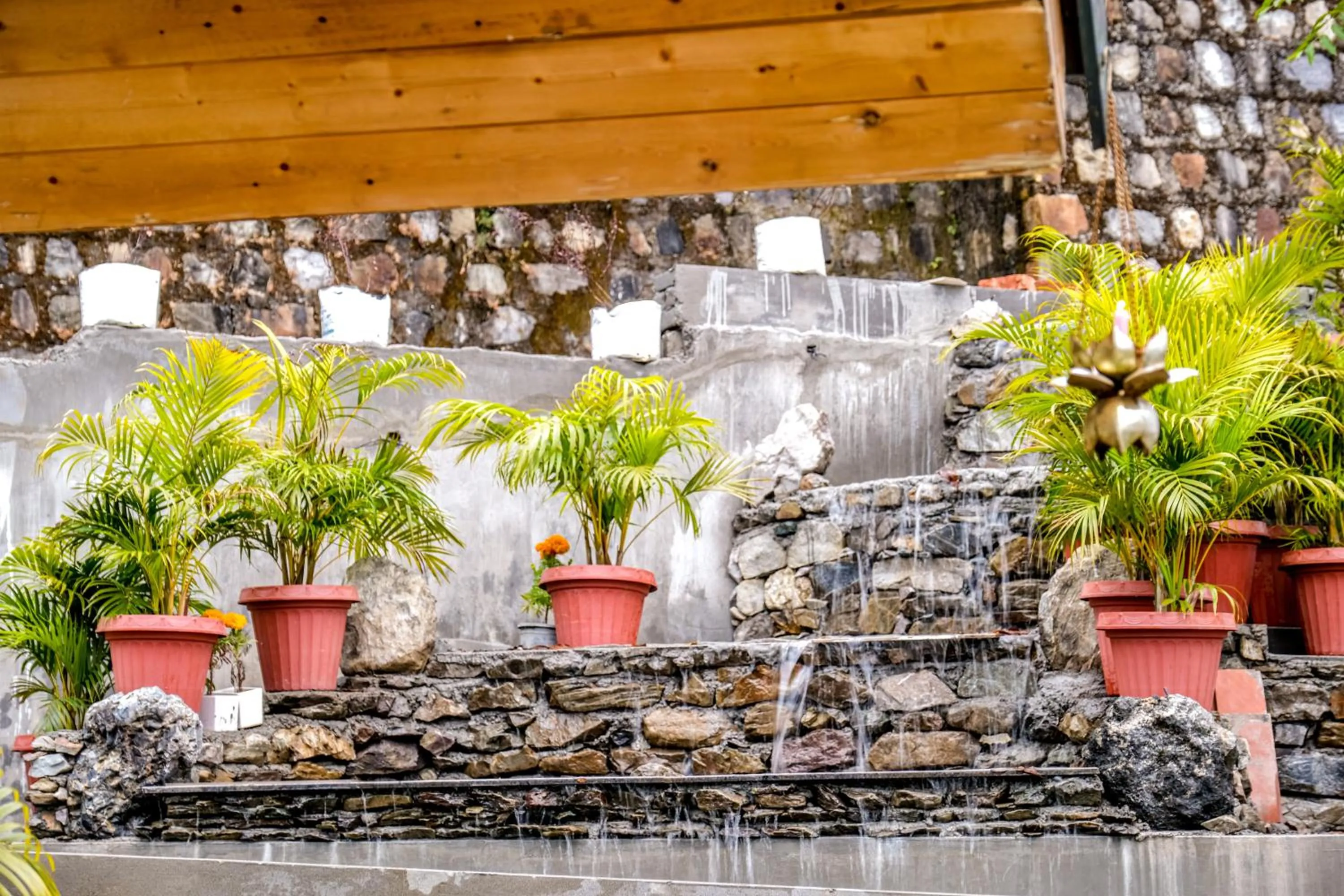 Day in The Bougainvillea Retreat - A Luxury Private Pool Villa in Dehradun