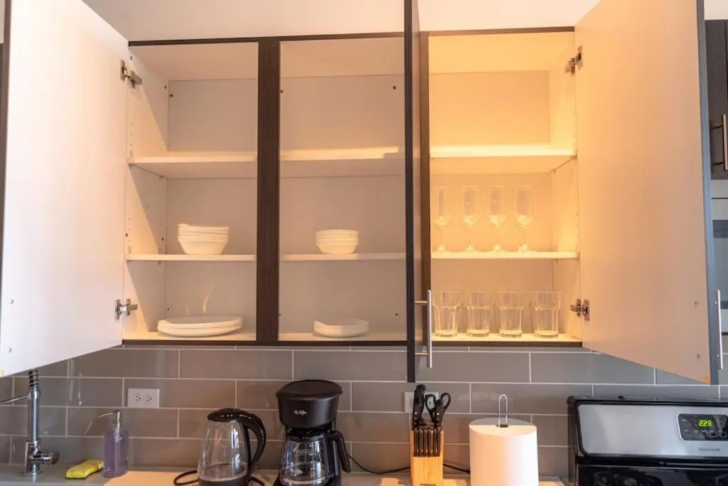 McCormick Place Luxurious and Spacious 3BR in Downtown Chicago with Optional Parking Sleeps 10 guests