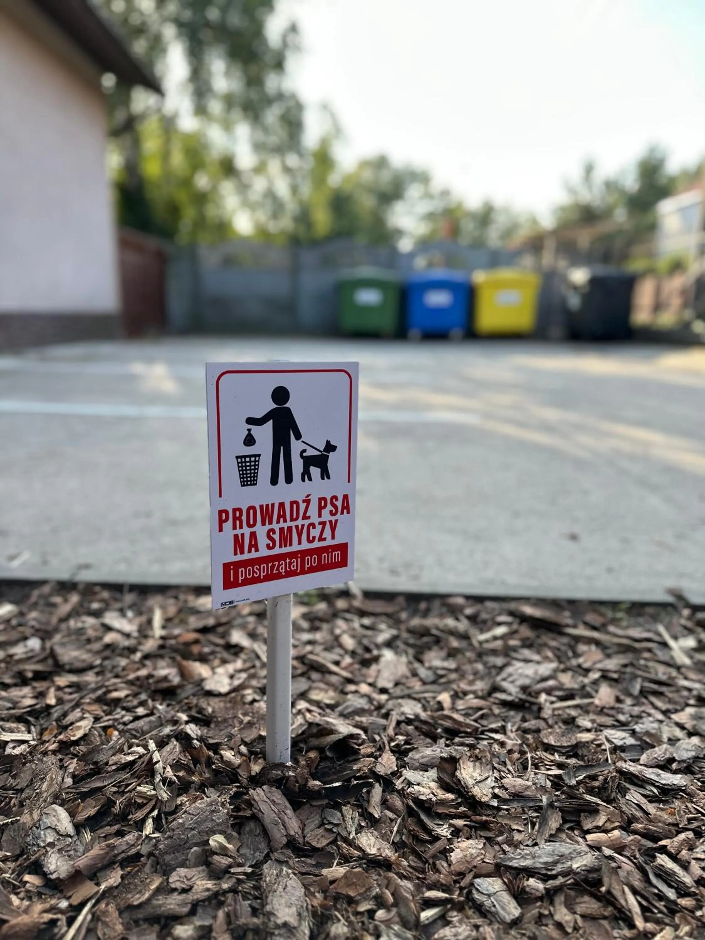 Szumi Las Bed & Breakfast