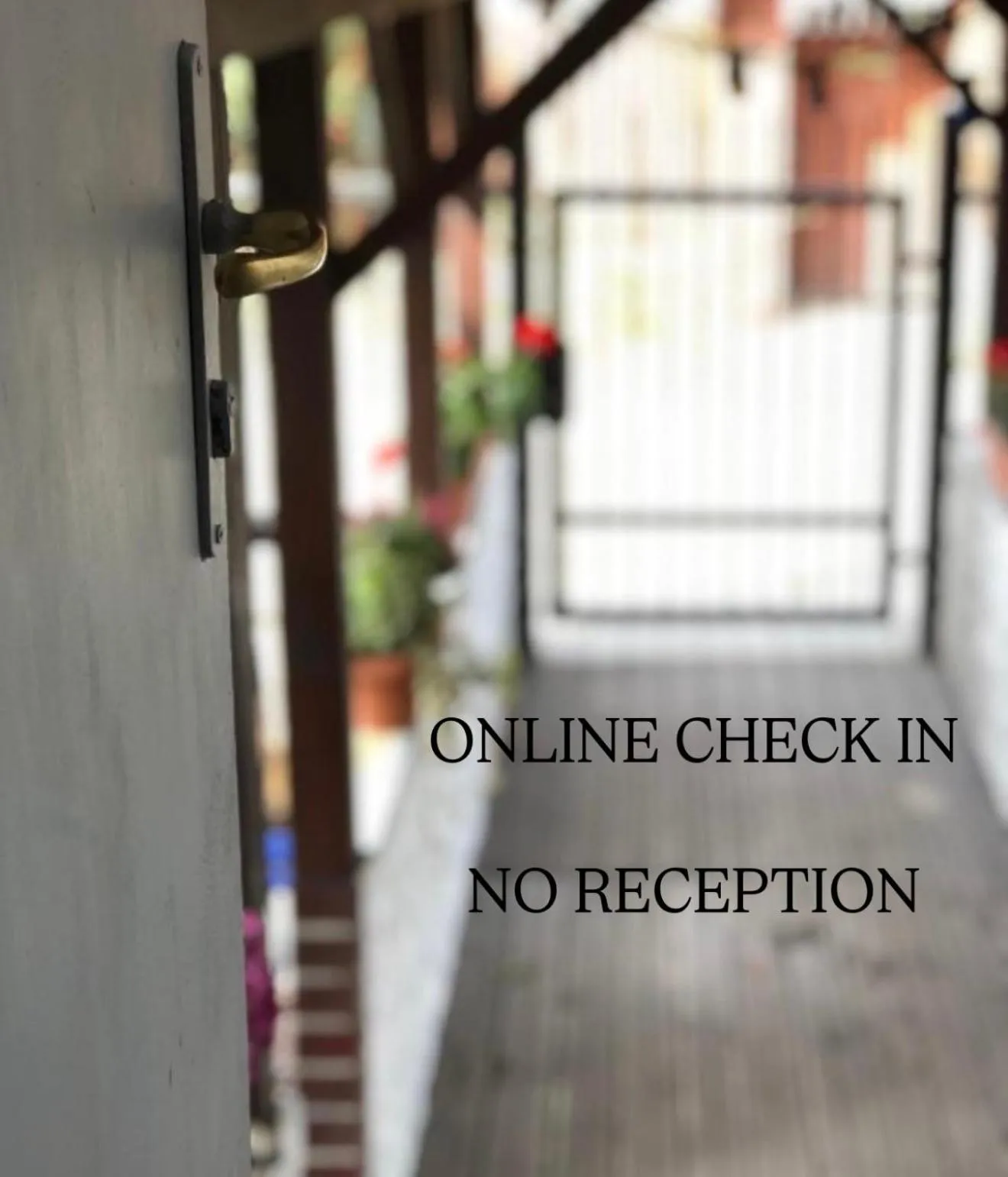 Szumi Las Bed & Breakfast