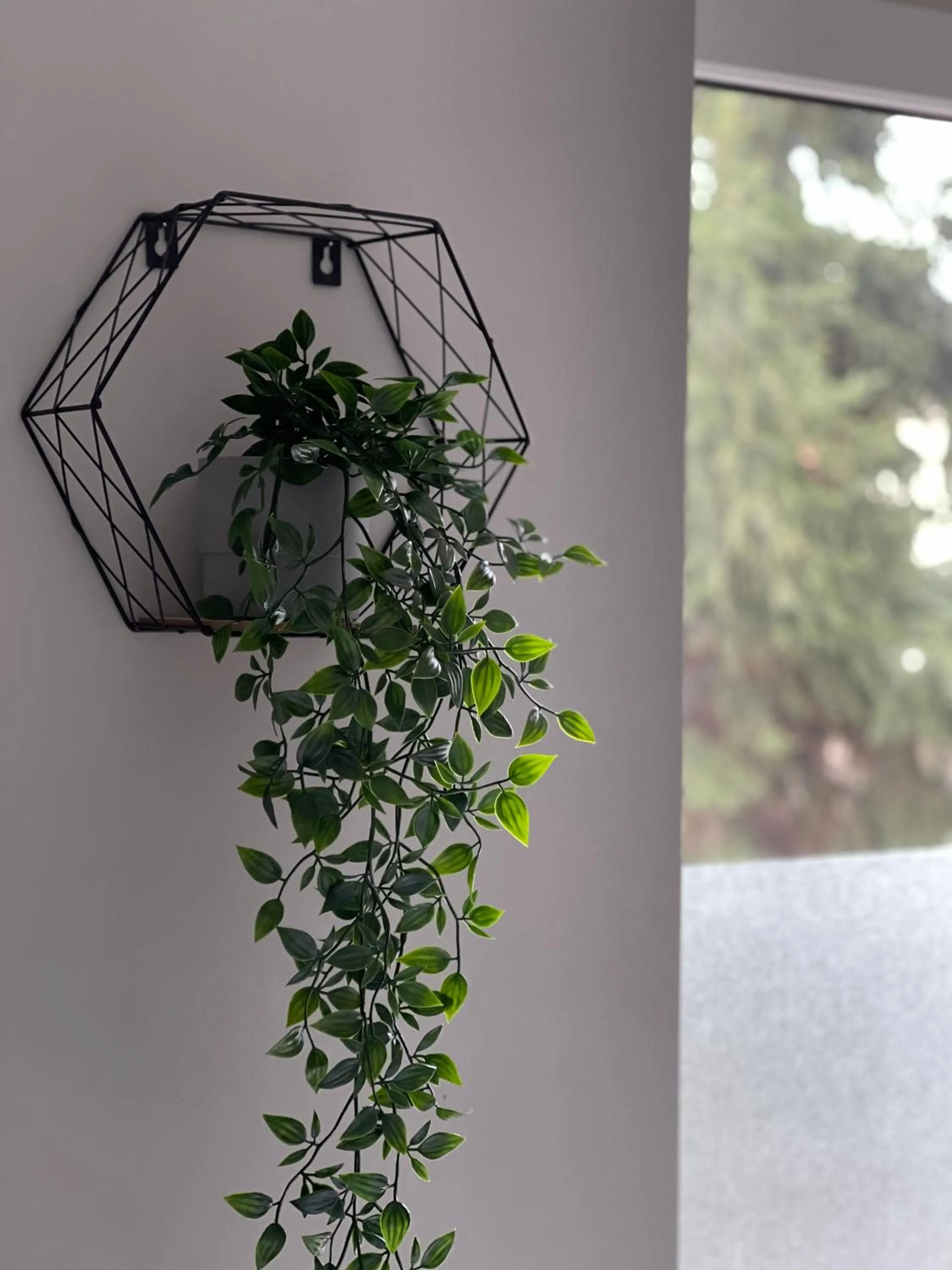 Szumi Las Bed & Breakfast