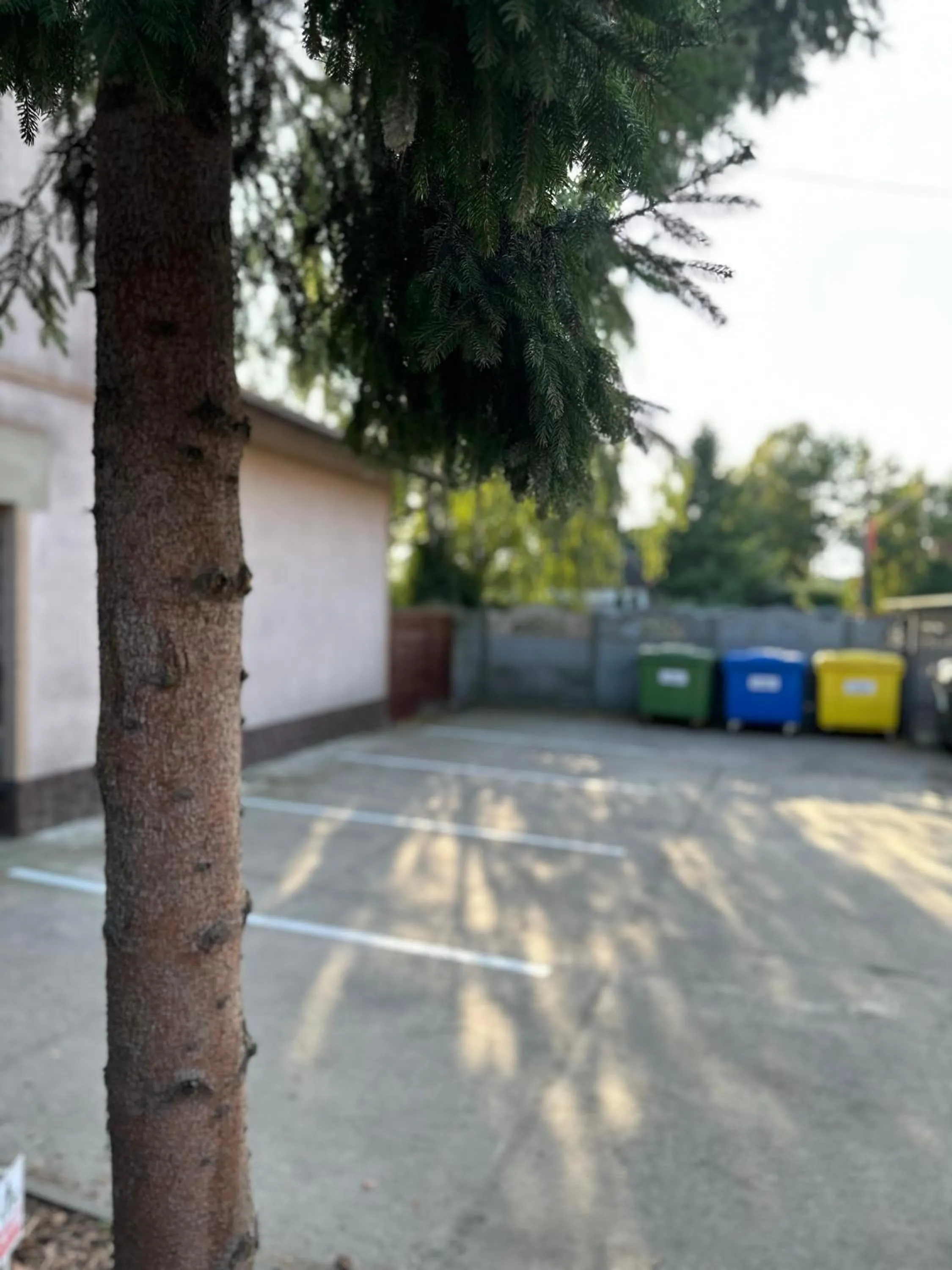 Szumi Las Bed & Breakfast