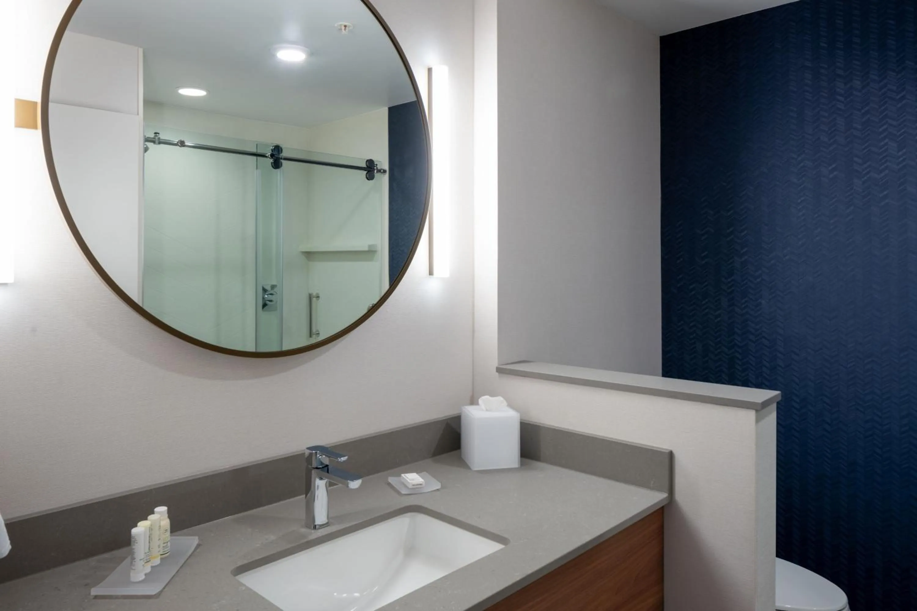 Bathroom in Fairfield by Marriott Inn & Suites Somerset