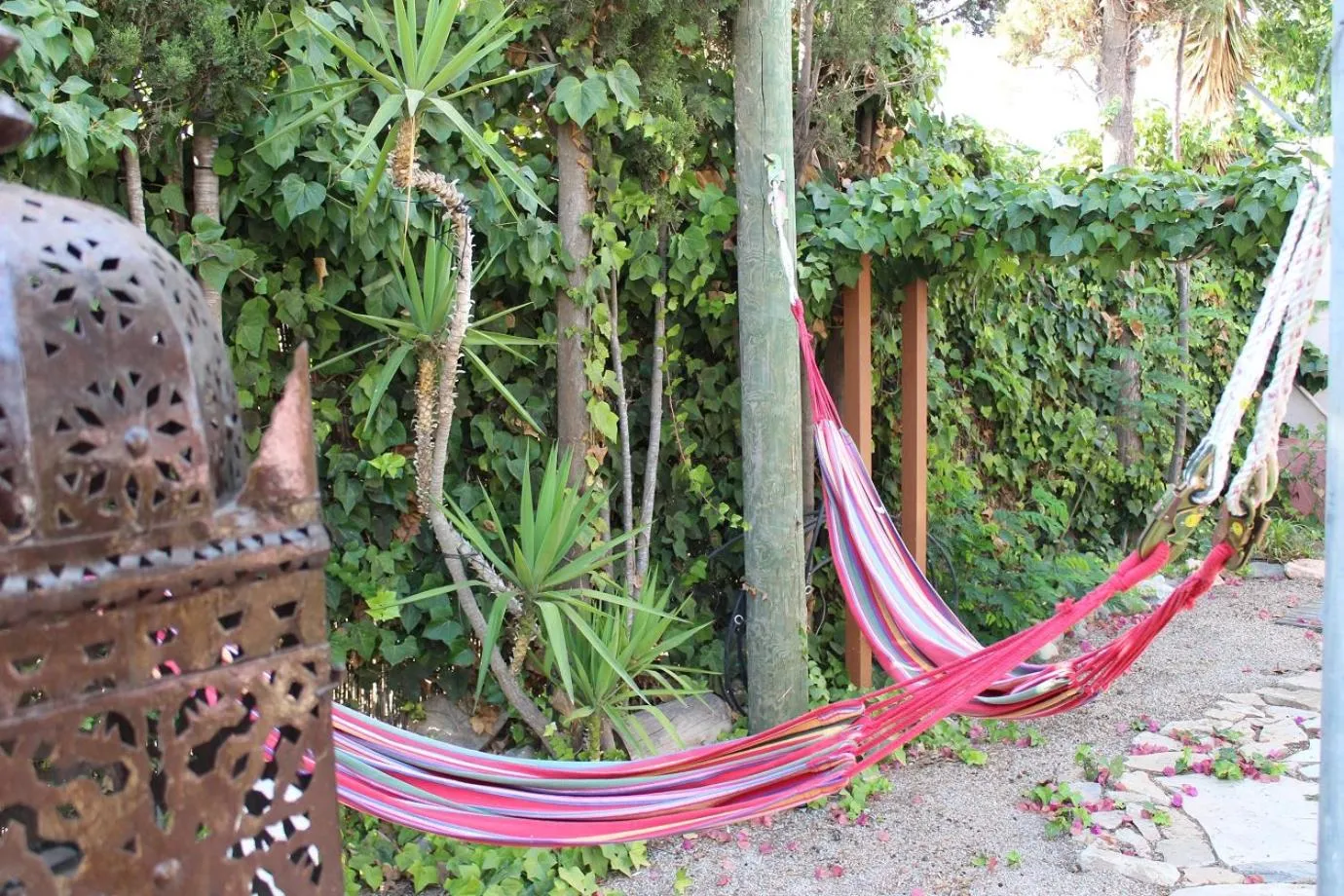 Garden in Finca Doña Sofia Maria