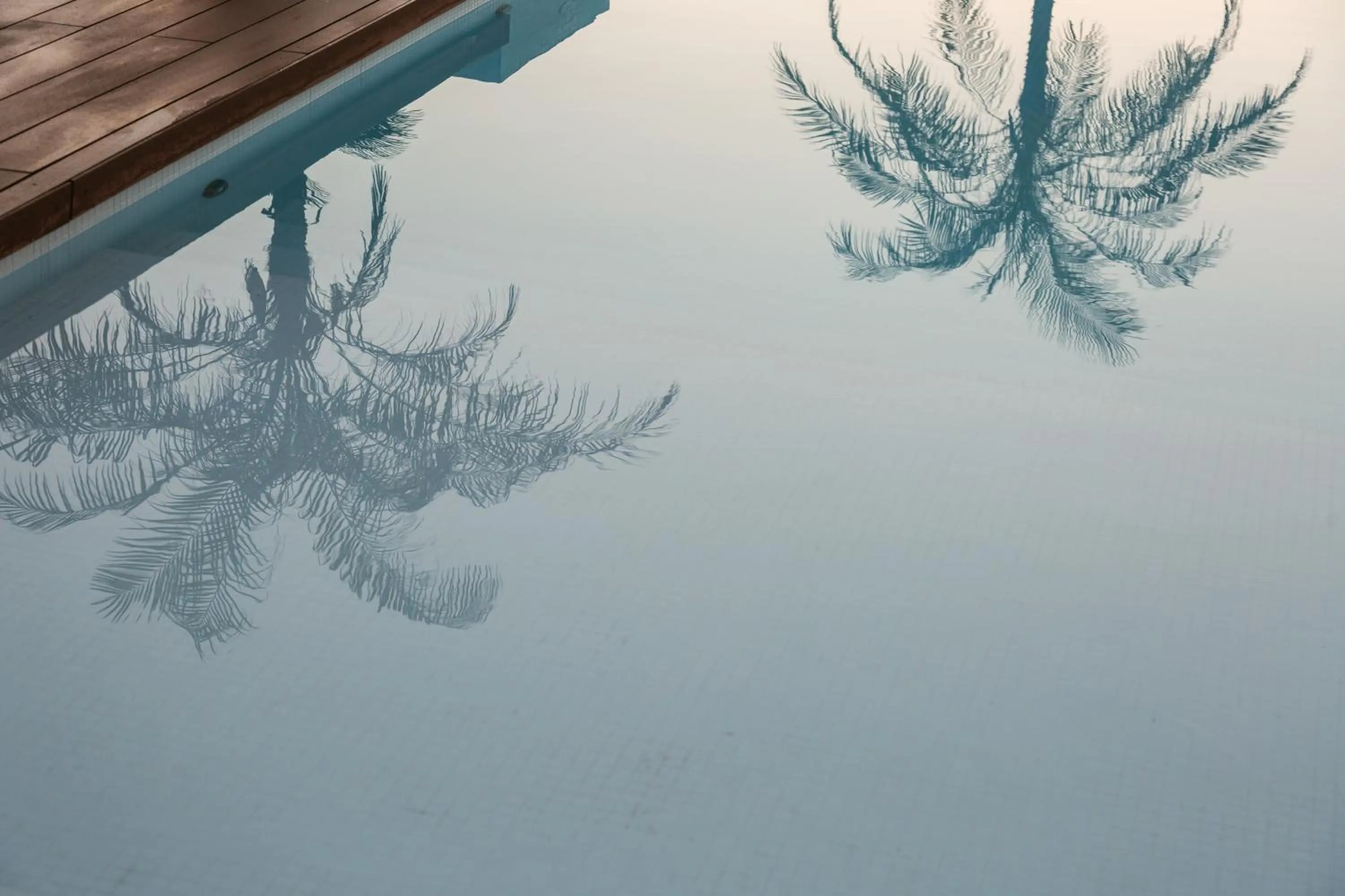 Swimming pool in Nativo Hotel Ibiza