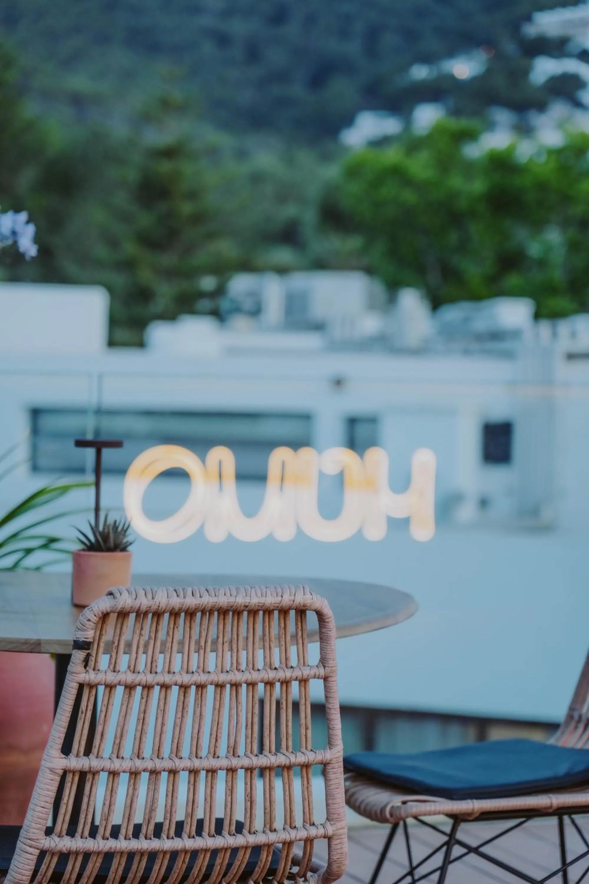 Dinner in Nativo Hotel Ibiza