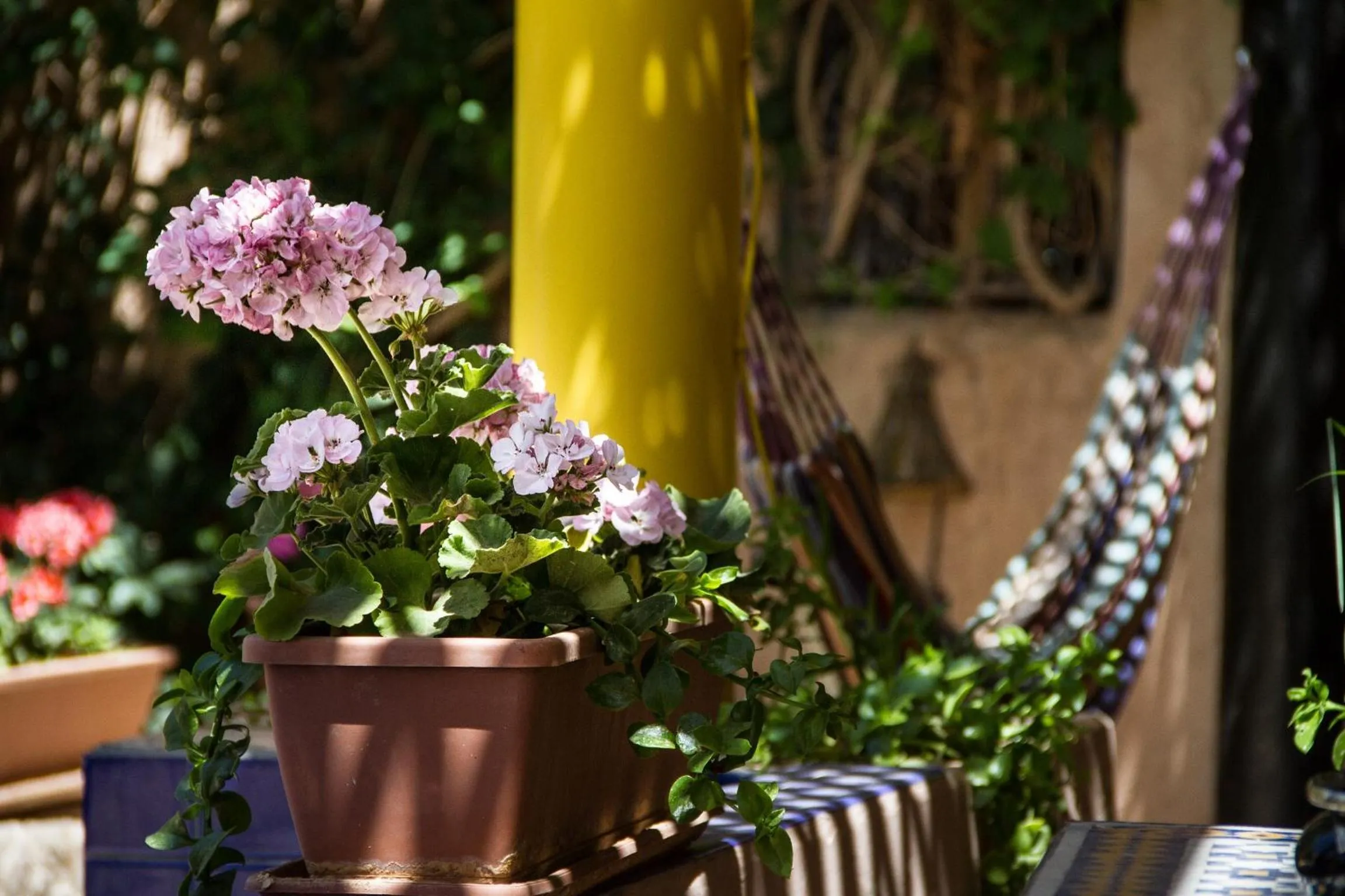 Garden in Riad Tama & spa