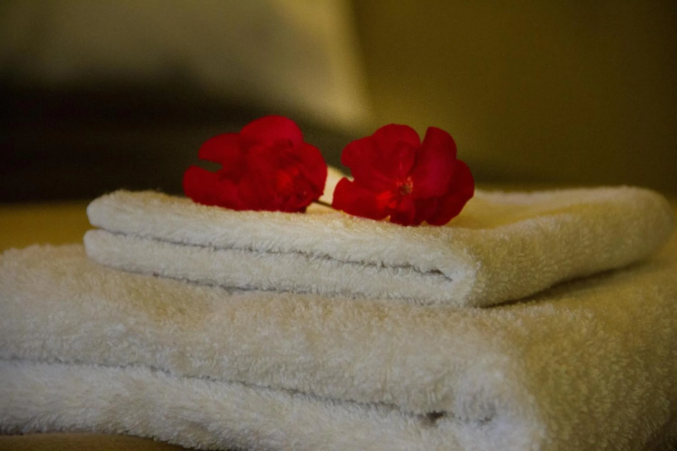 Decorative detail, Bed in Riad Tama & spa