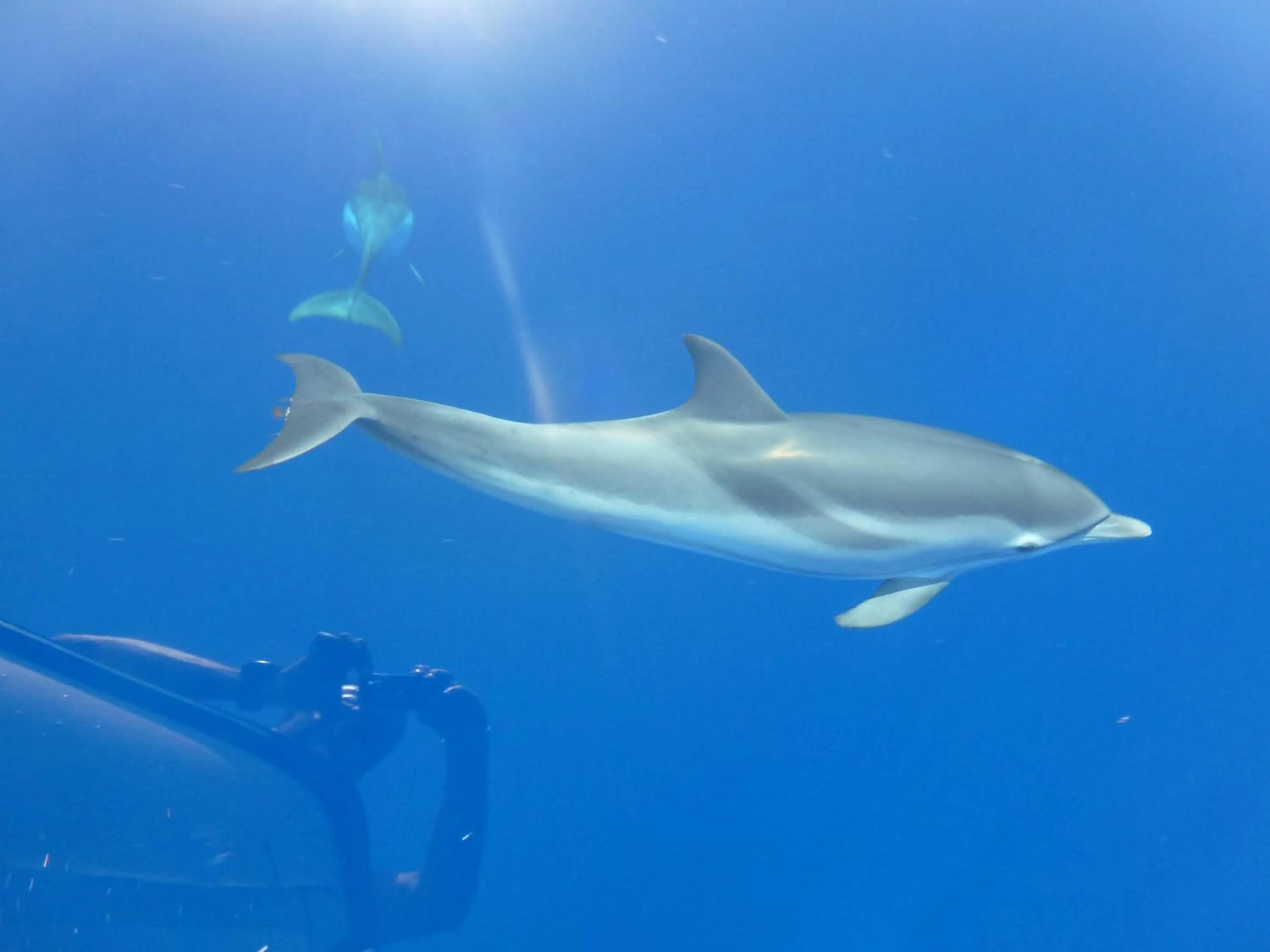 Hiking in Villa La Conchiglia Rooms