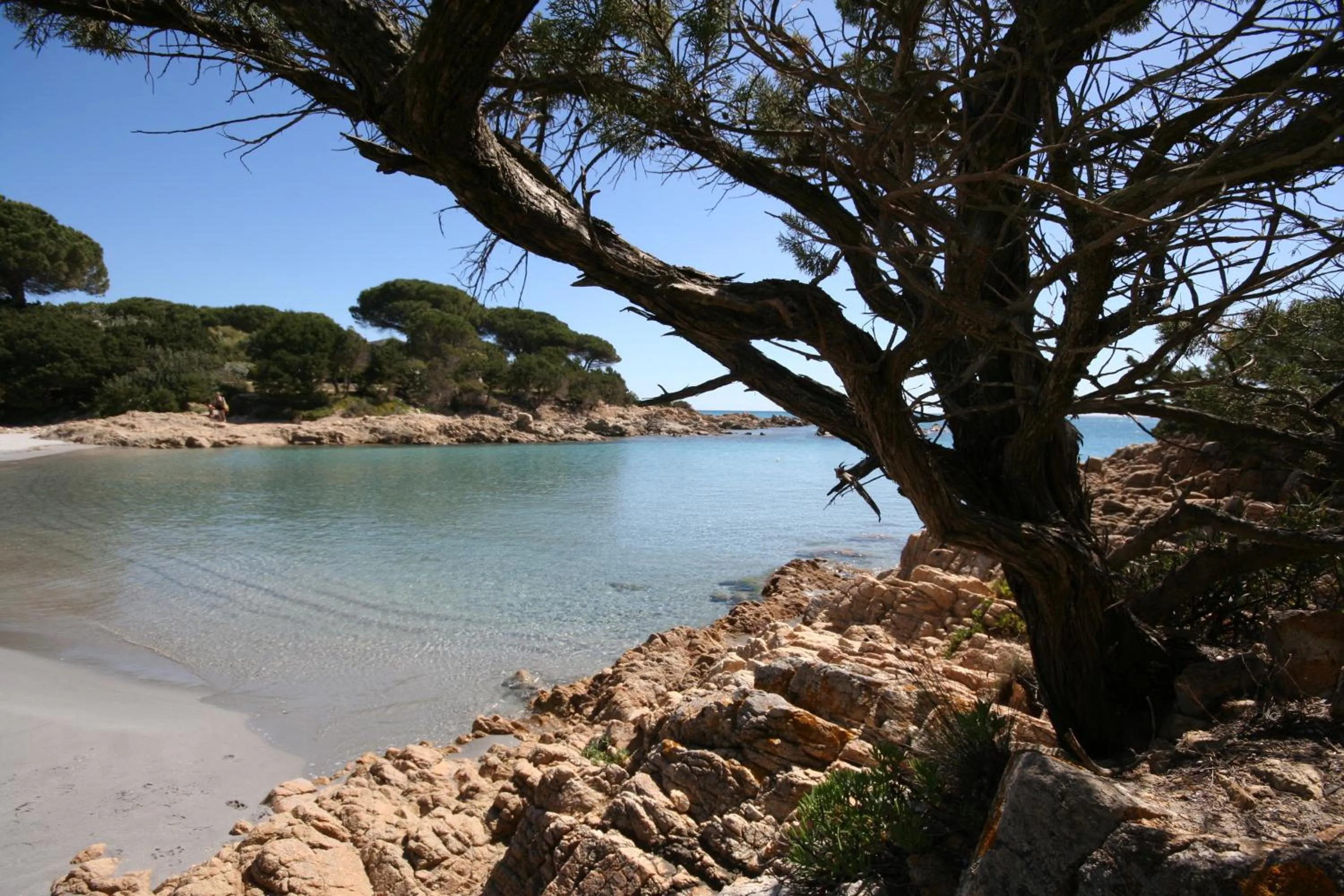 Beach in Villa La Conchiglia Rooms
