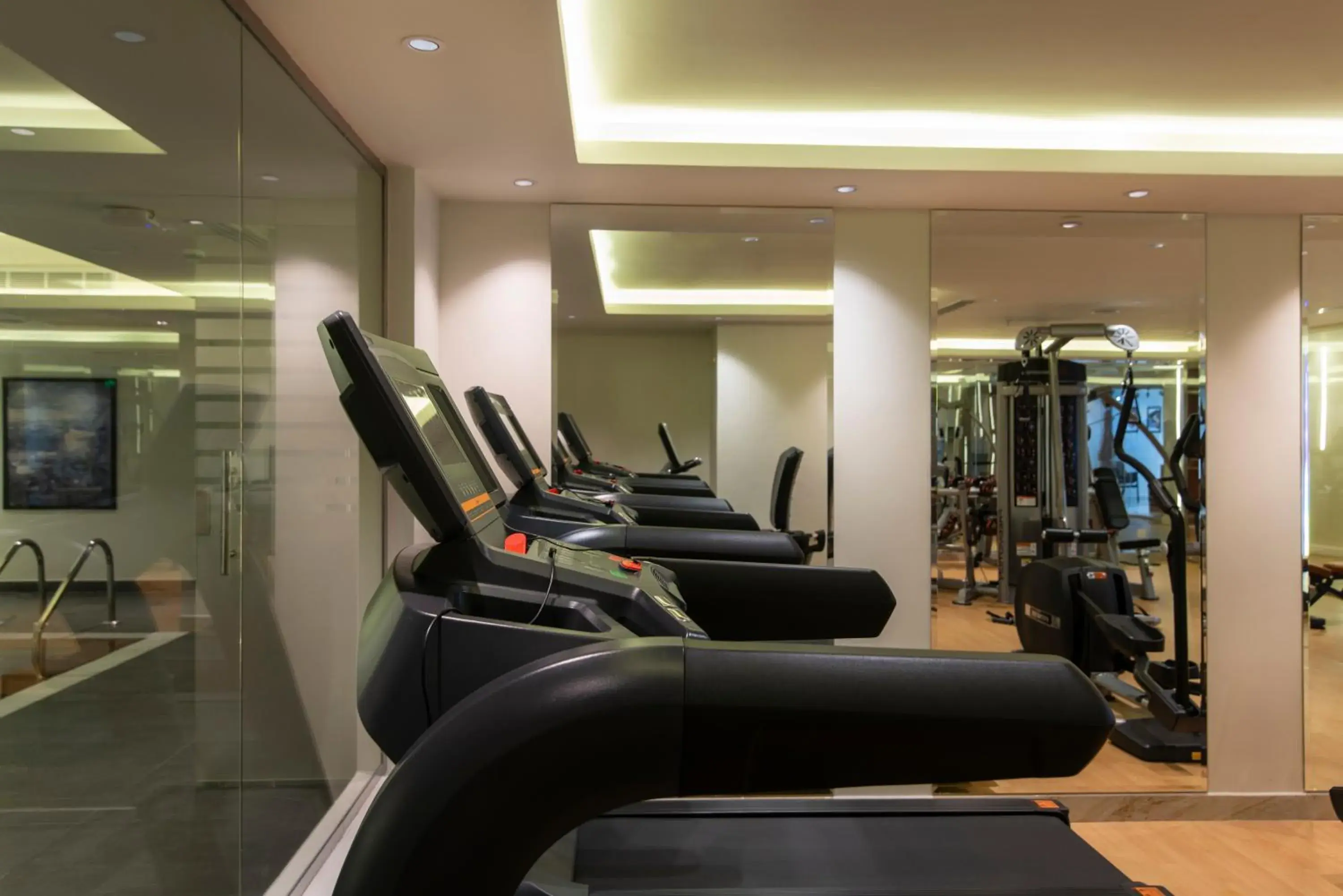 Fitness centre/facilities in Vittori Palace Hotel and Residences Fitness centre/facilities in Vittori Palace Hotel and Residences