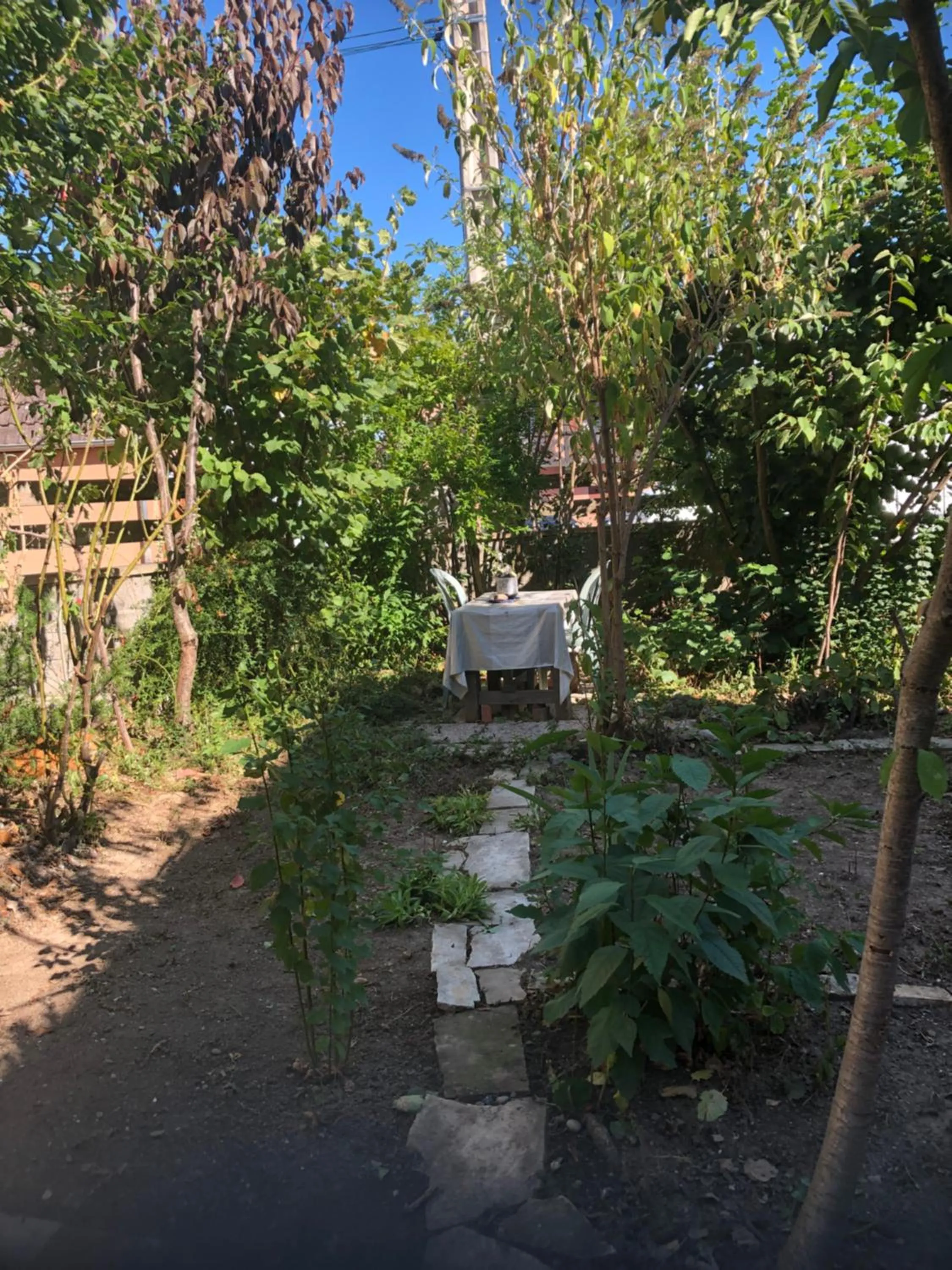 Garden in Chambre spacieuse dans joli village alsacien