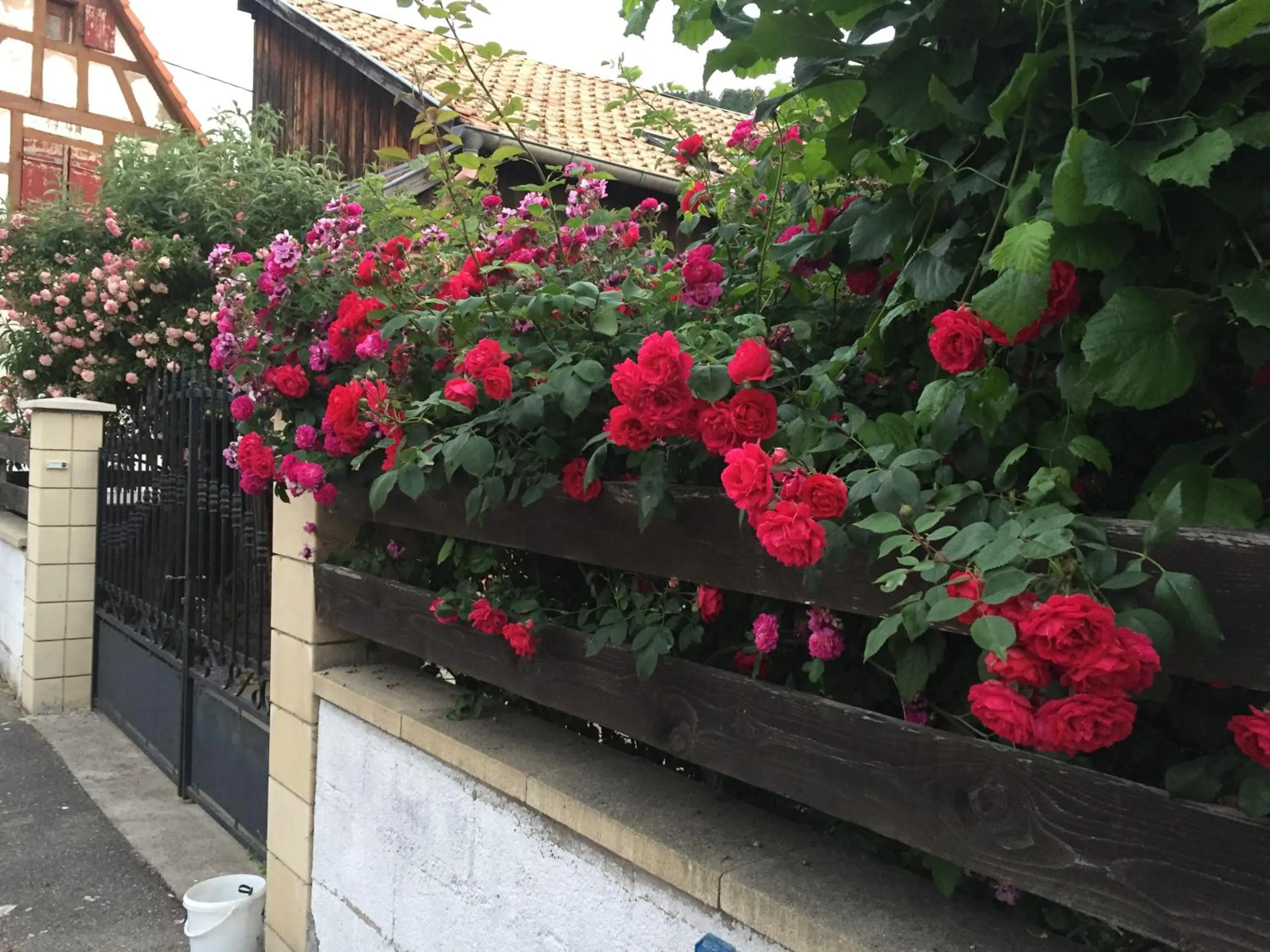Garden in Chambre spacieuse dans joli village alsacien
