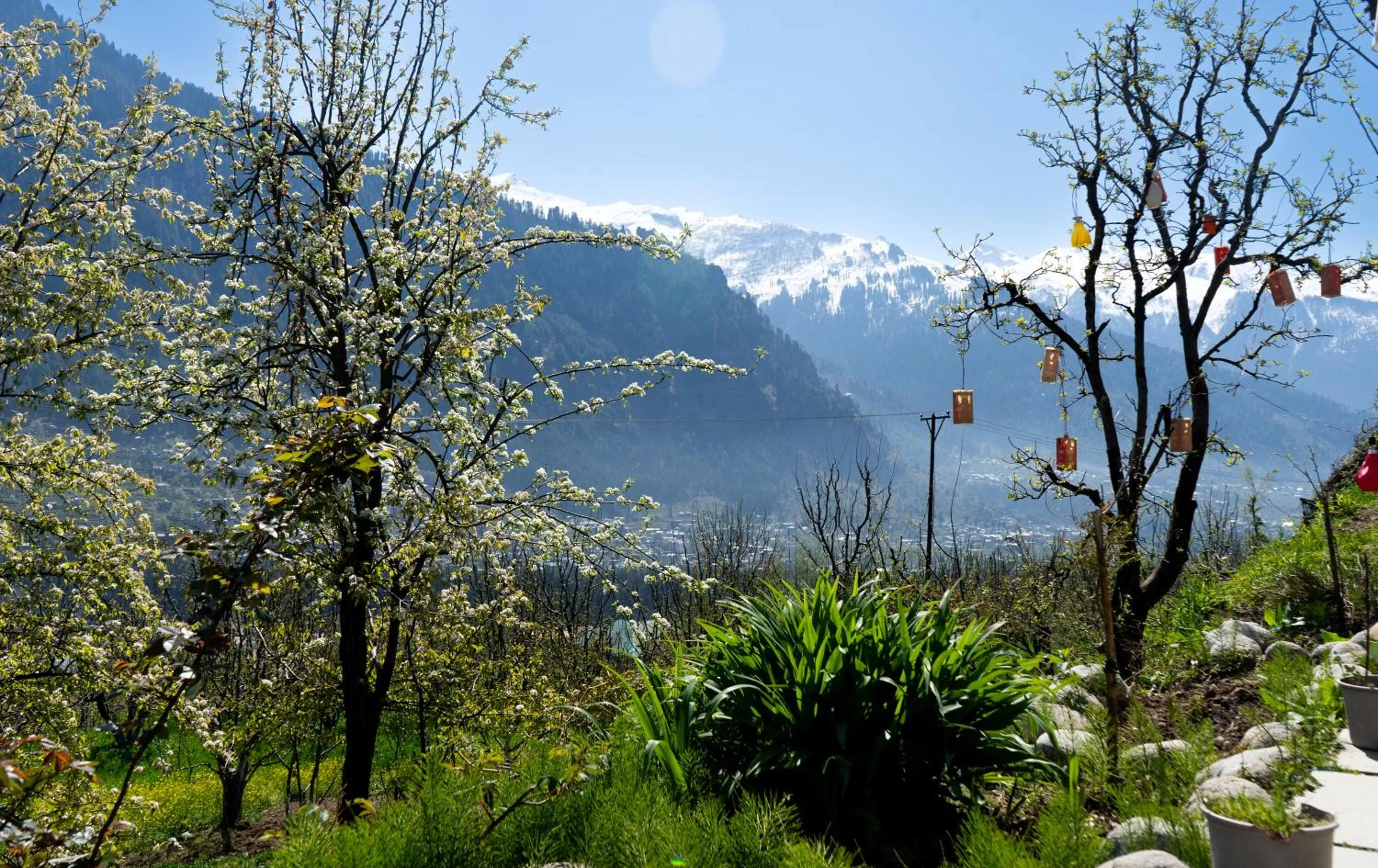 Garden in Nomadic Den Manali