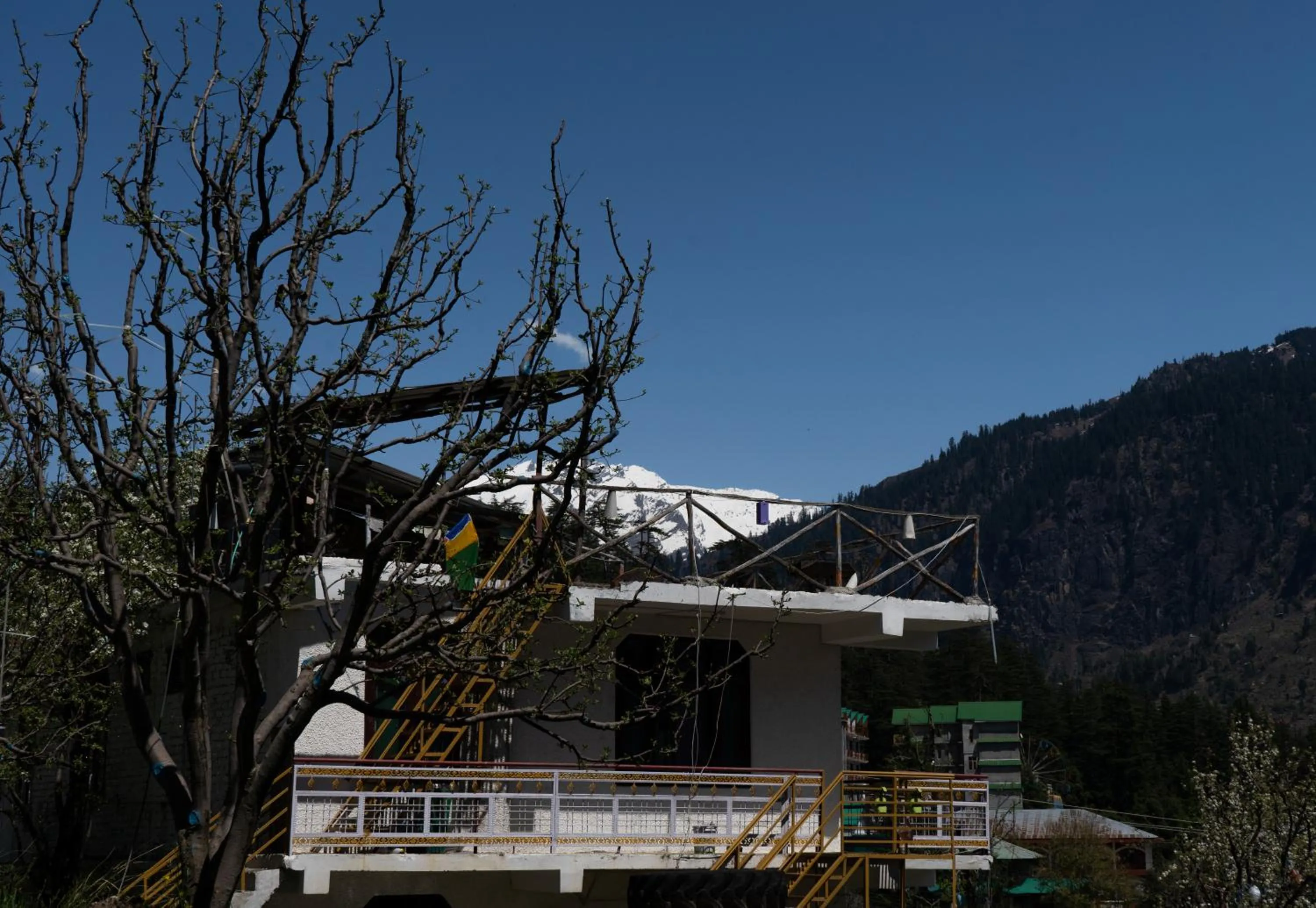 Nomadic Den Manali