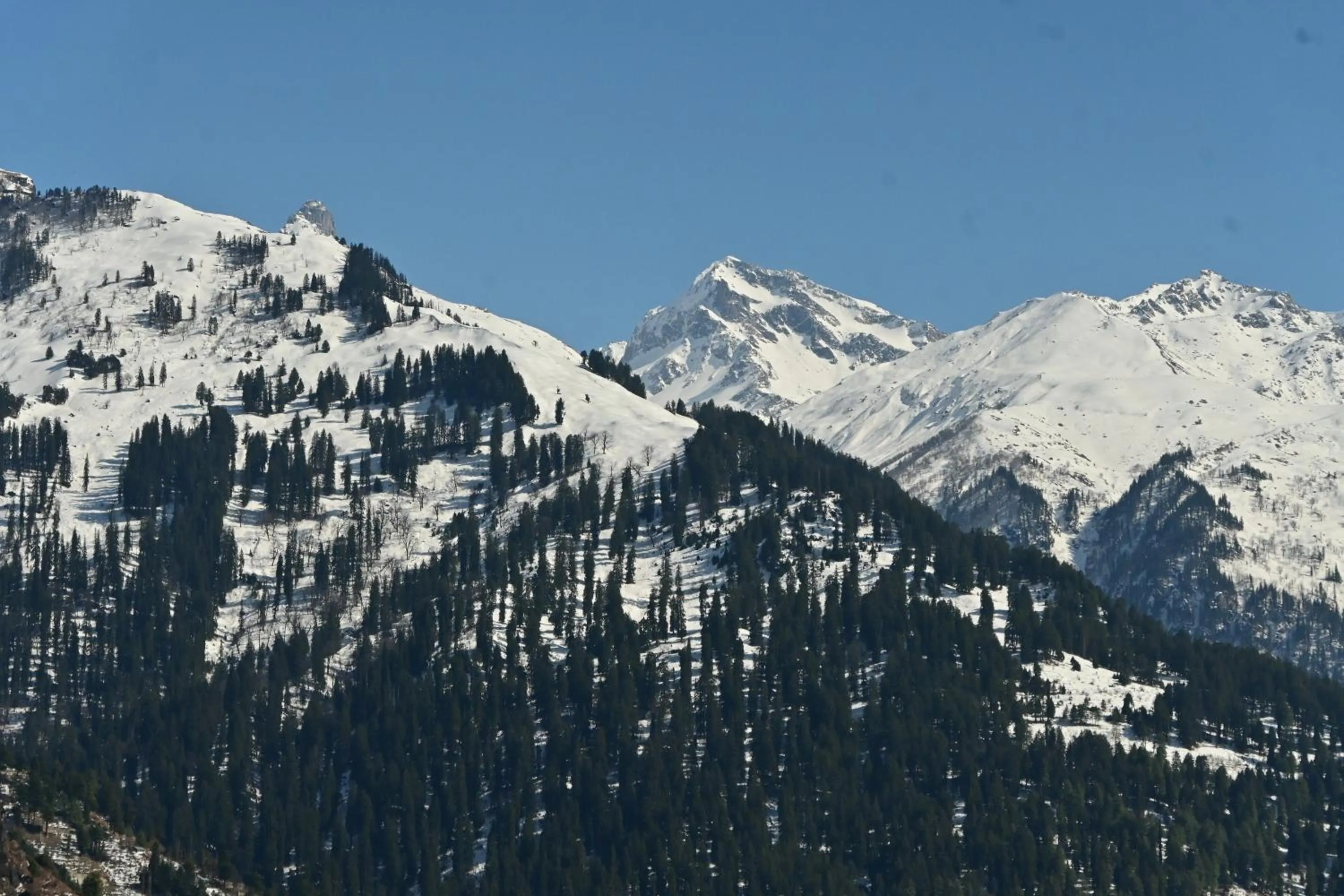Nomadic Den Manali