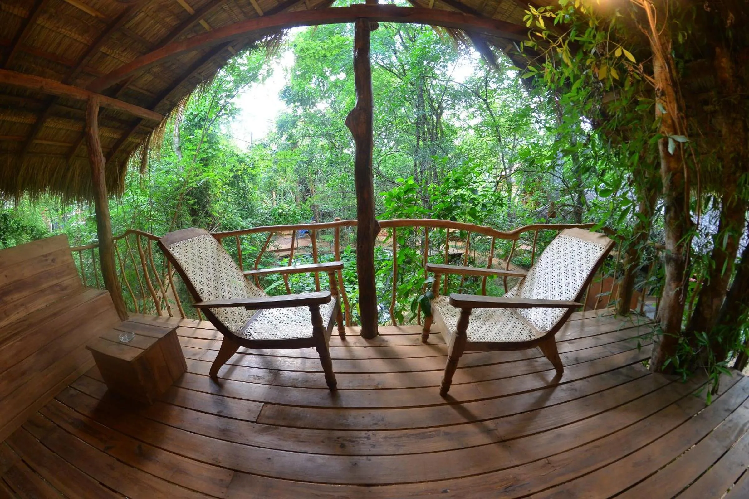 Balcony/Terrace in Habarana Tree house Mutu village