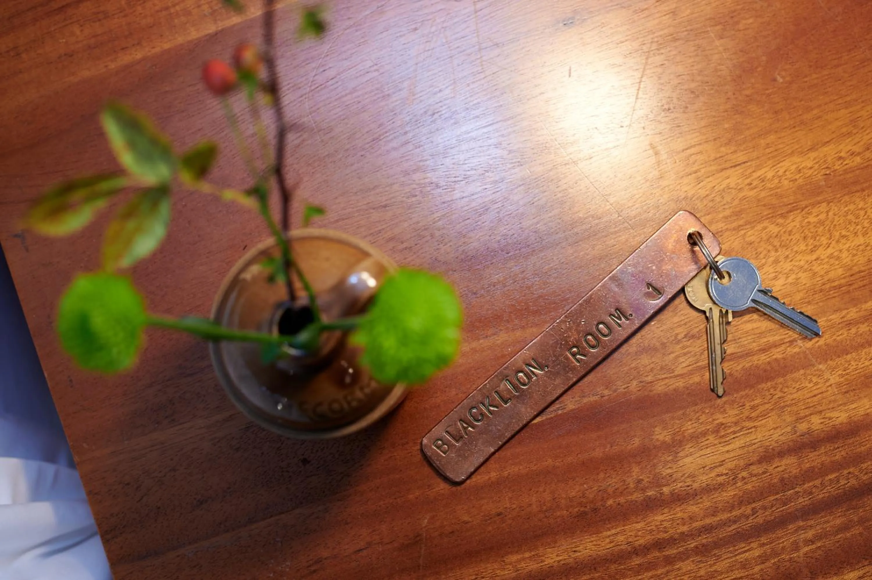 Property building in Black Lion Inn