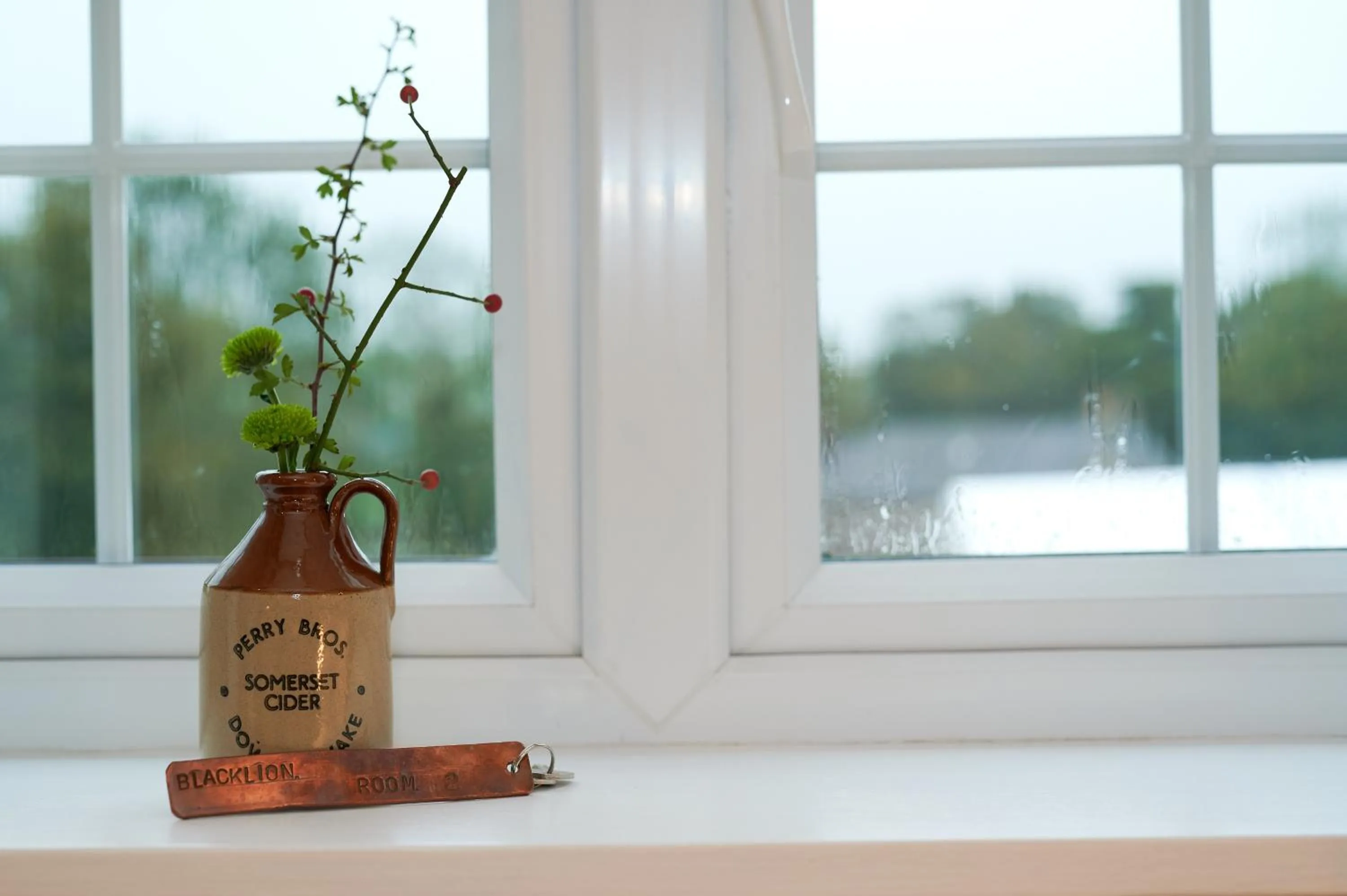 Property building in Black Lion Inn