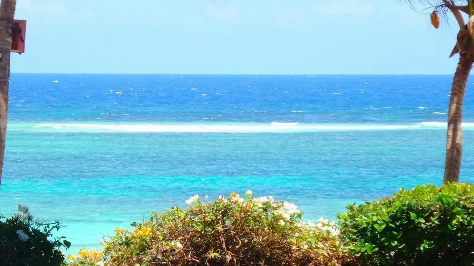 Flamboyant Diani Beach