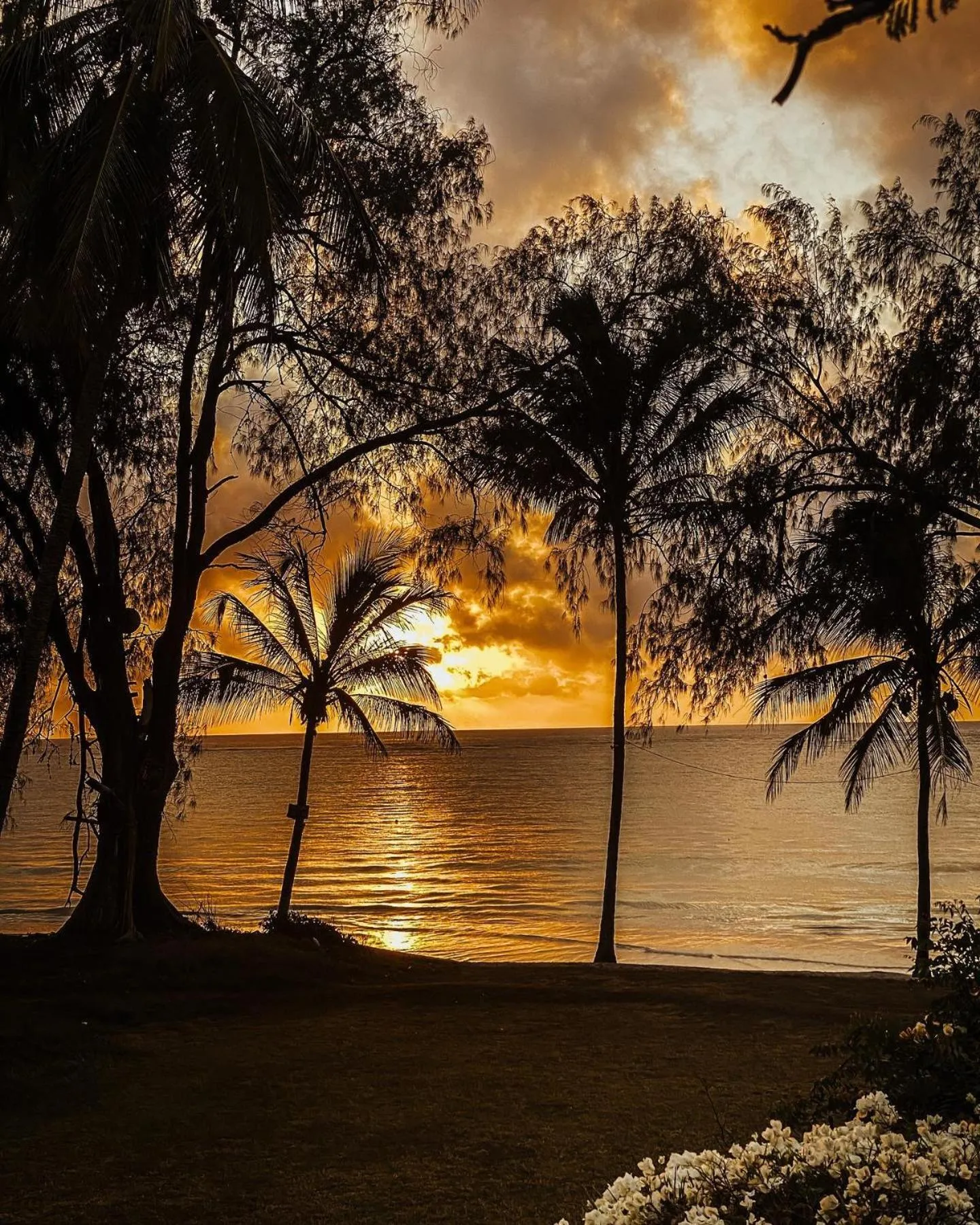 Garden in Flamboyant Diani Beach