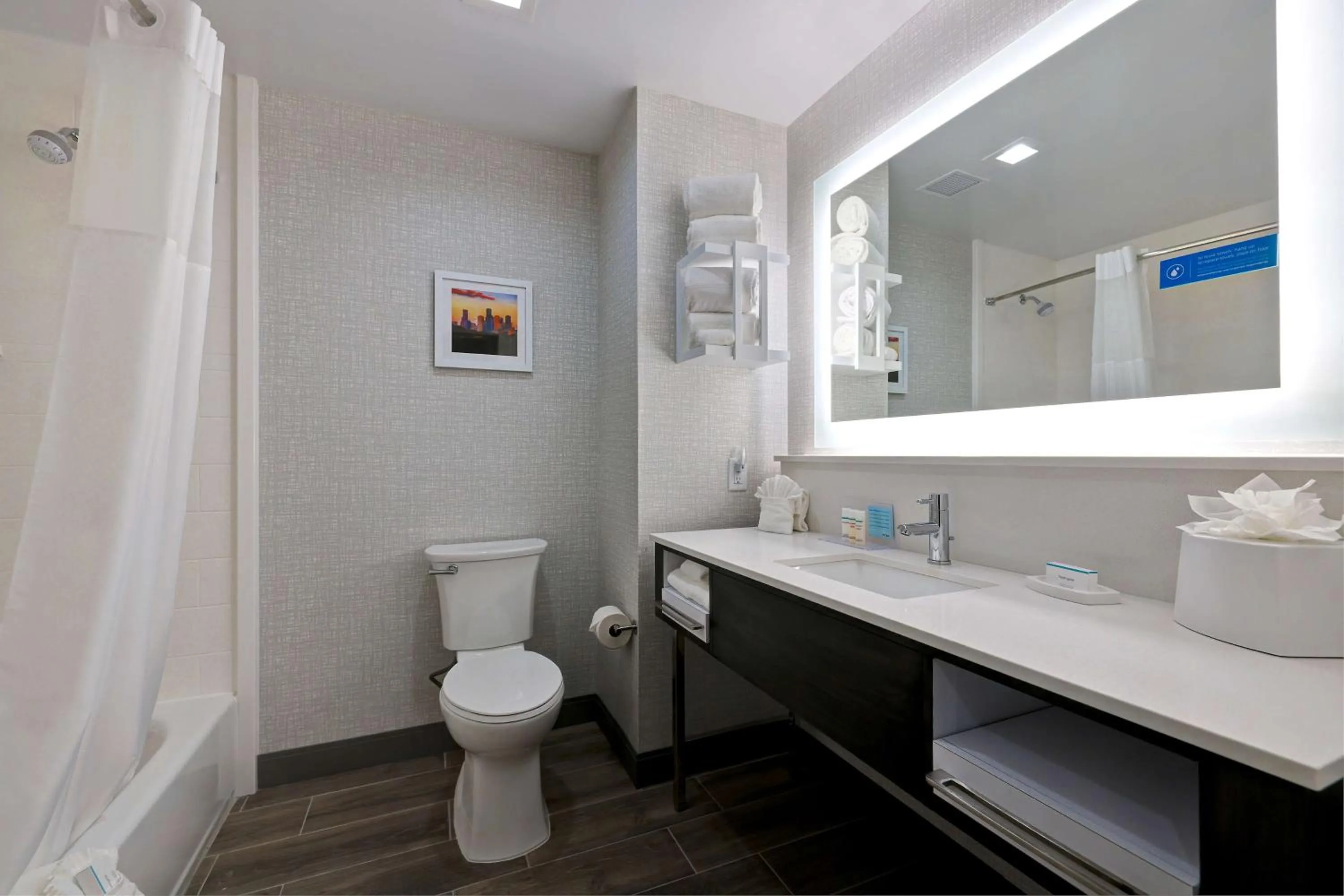 Bathroom in Hampton Inn & Suites Houston East Beltway 8, Tx