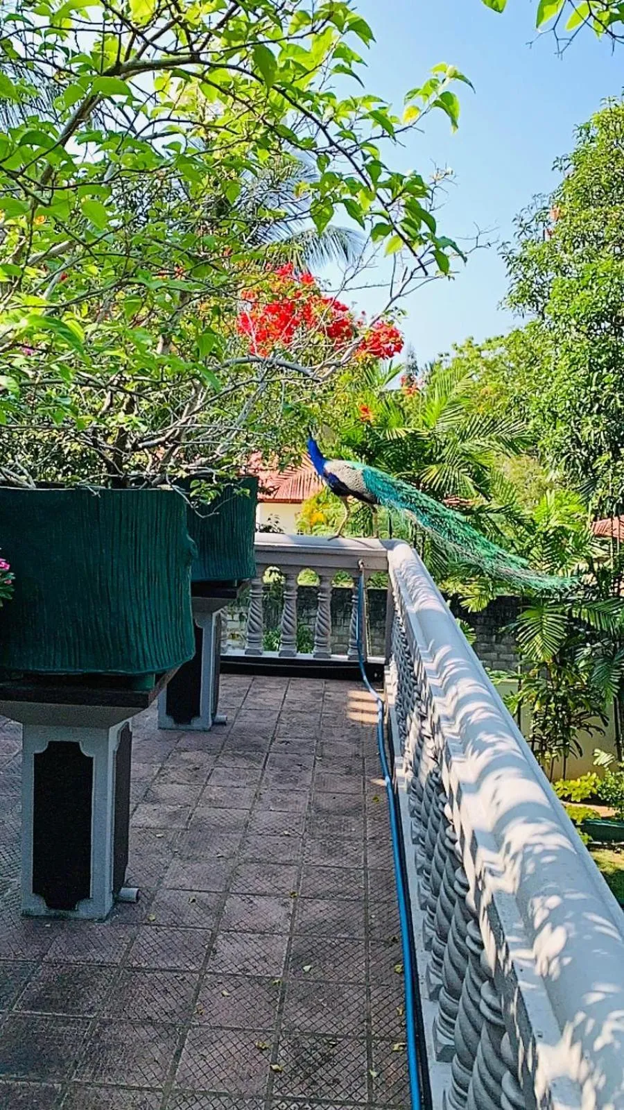 View (from property/room) in Sagarika Beach Hotel