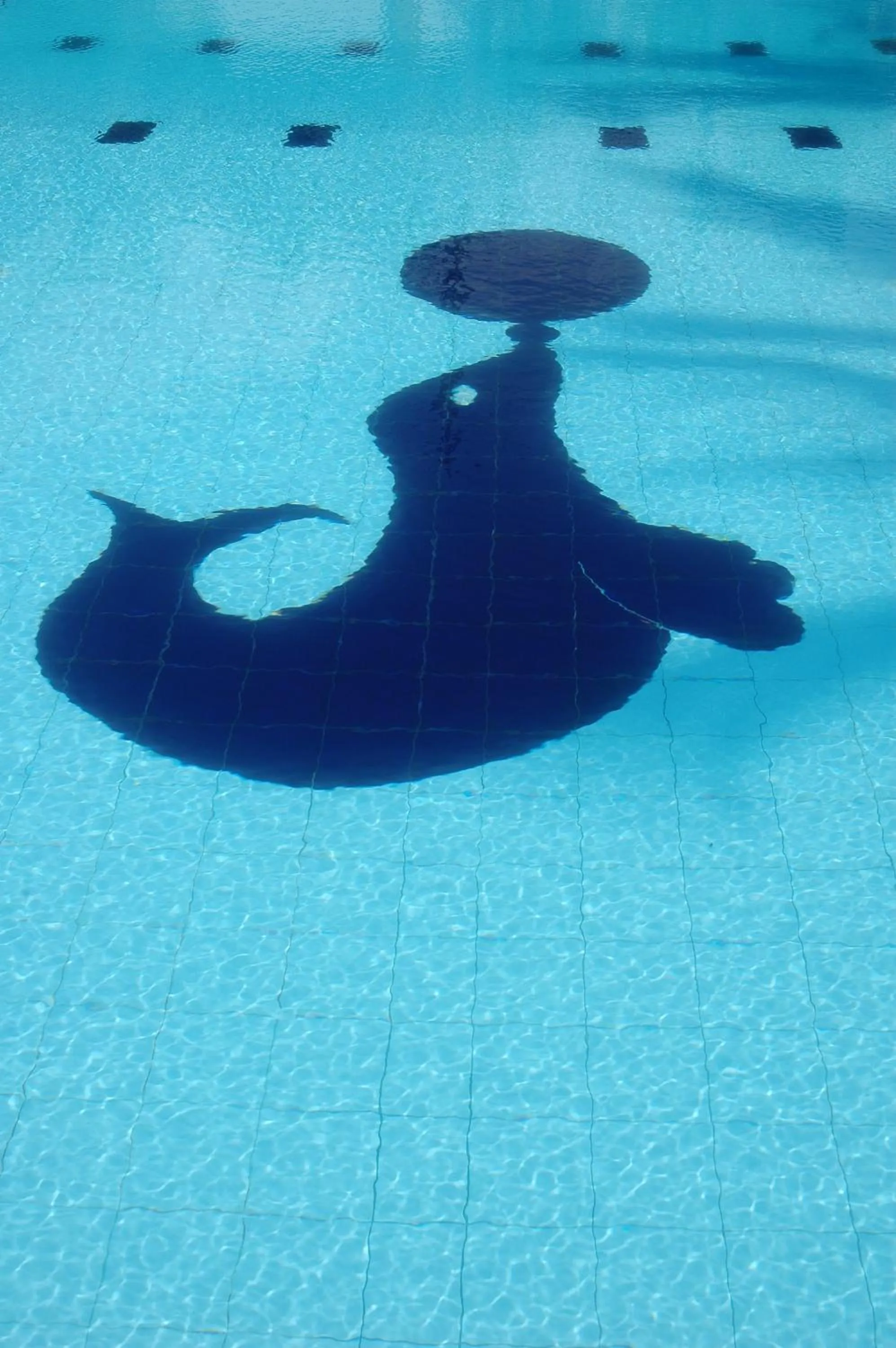 Area and facilities in Sagarika Beach Hotel