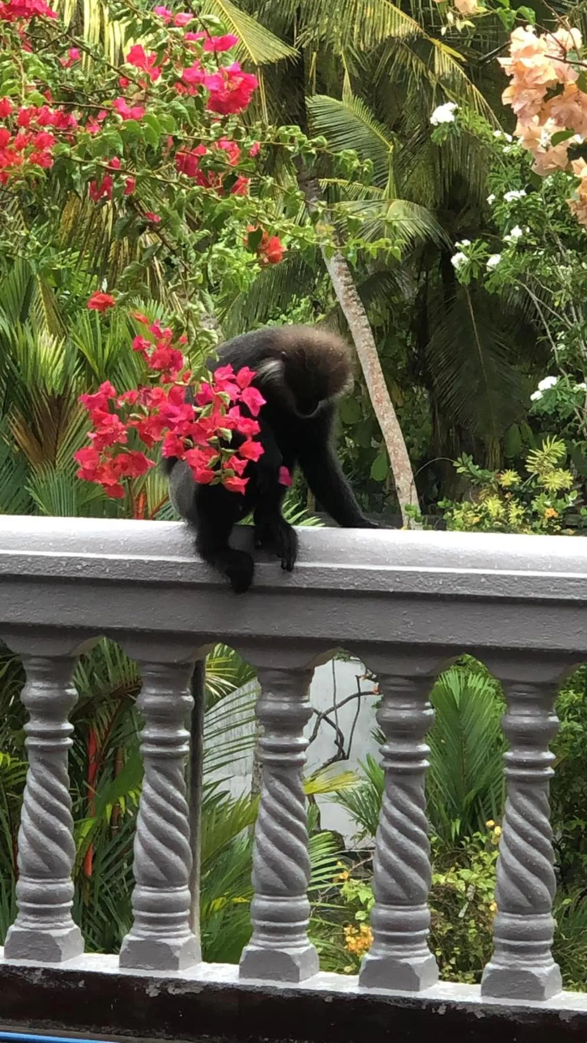 Summer in Sagarika Beach Hotel