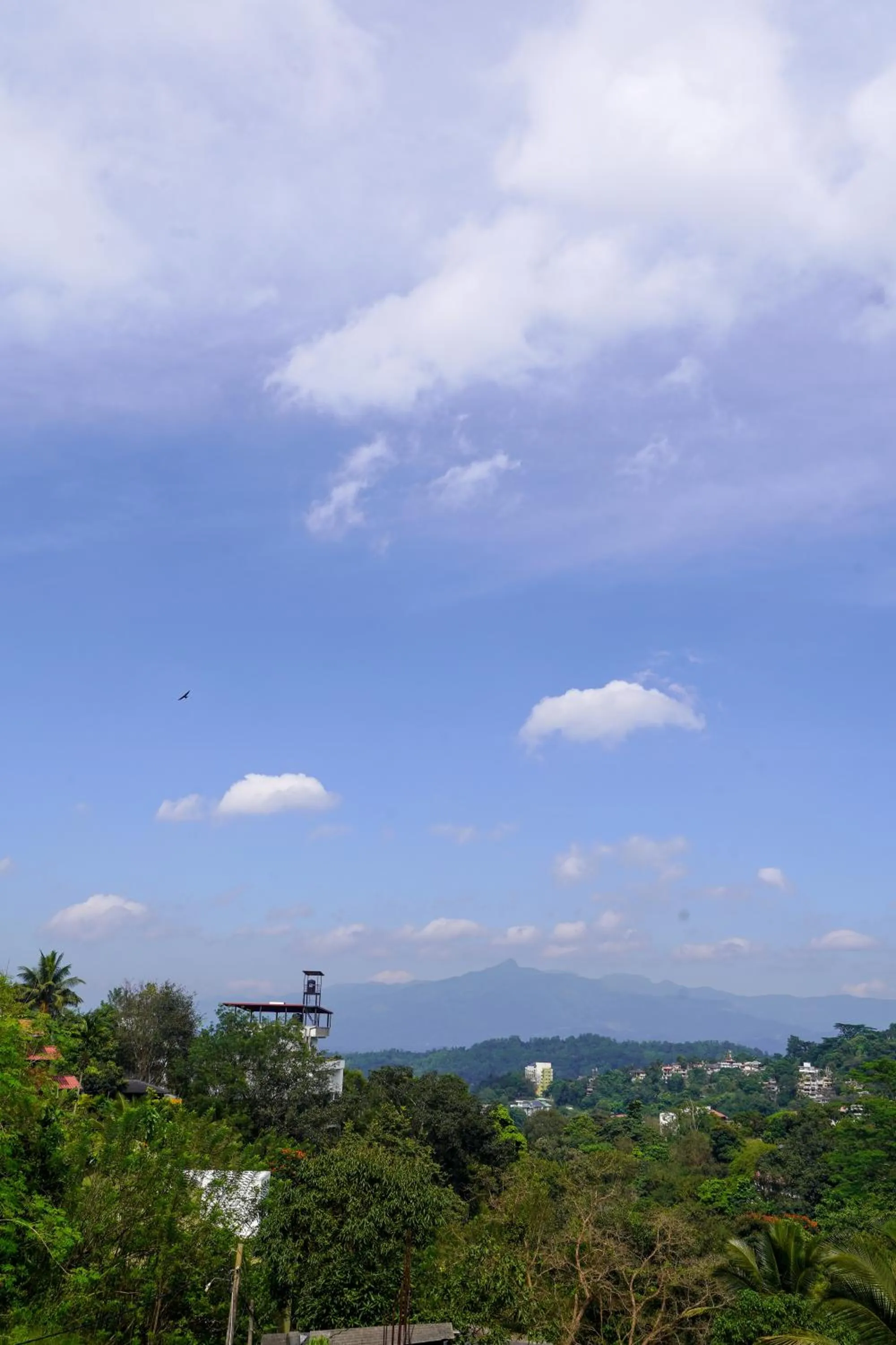 Natural landscape in Hanthana House