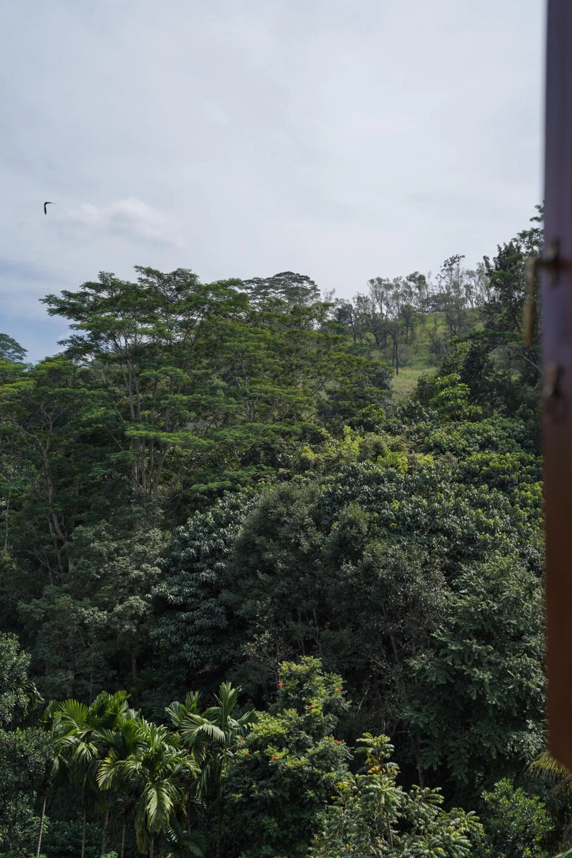 Natural landscape in Hanthana House