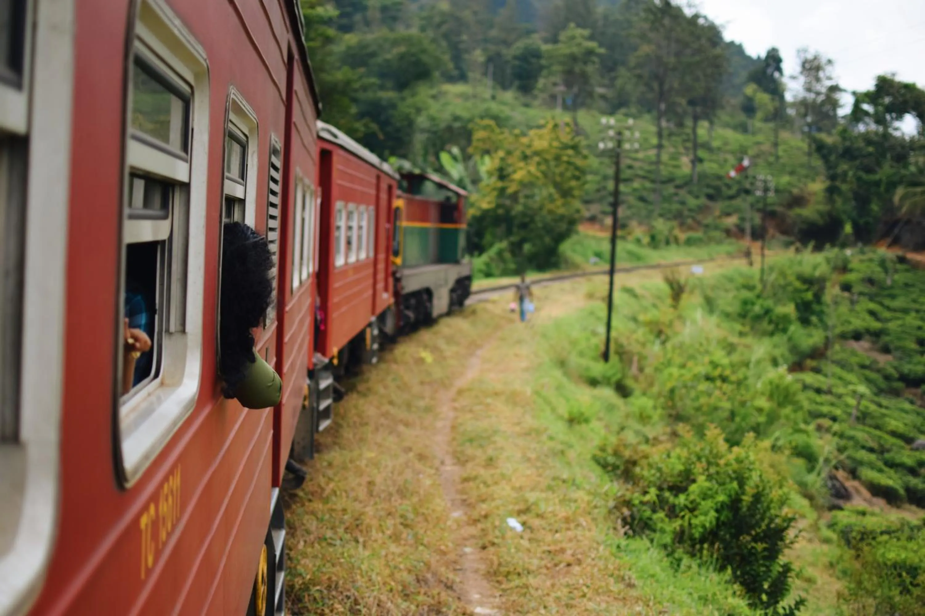 The Mist Holiday Bungalow