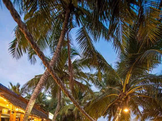 Frangipani Beach Villa