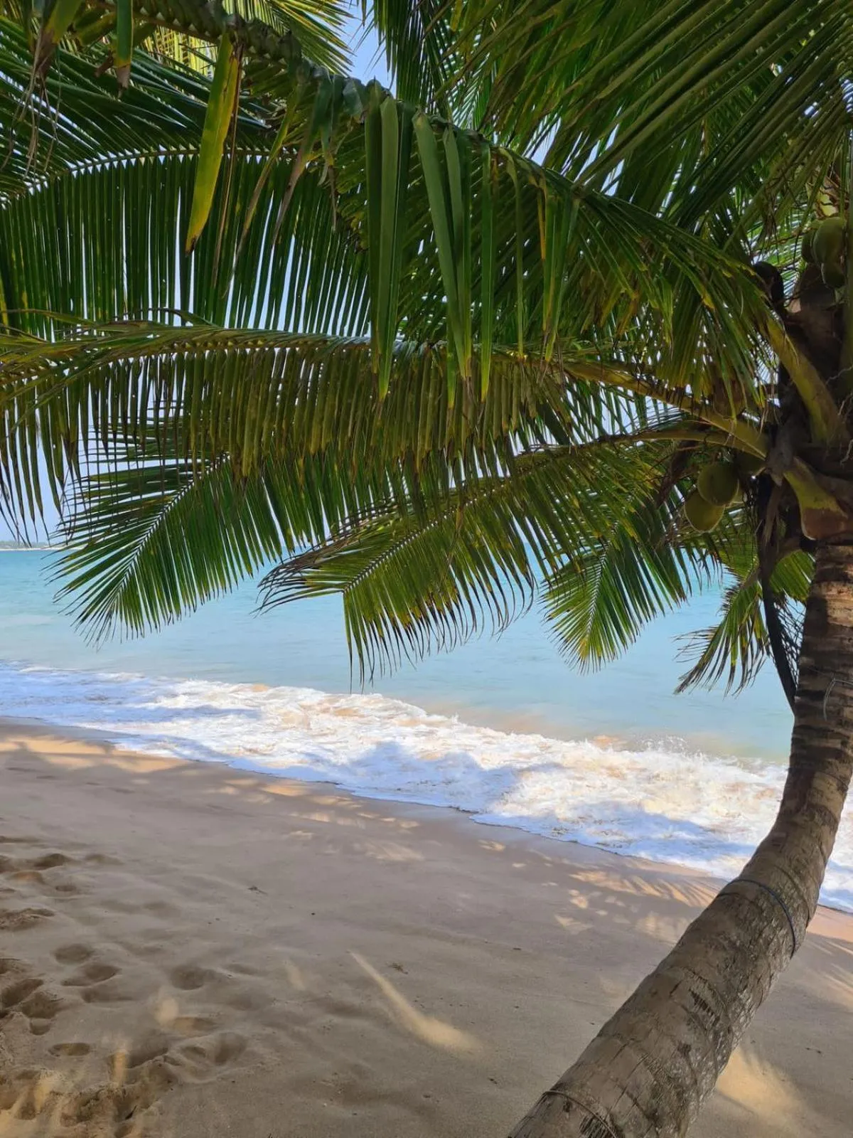 Day in Frangipani Beach Villa