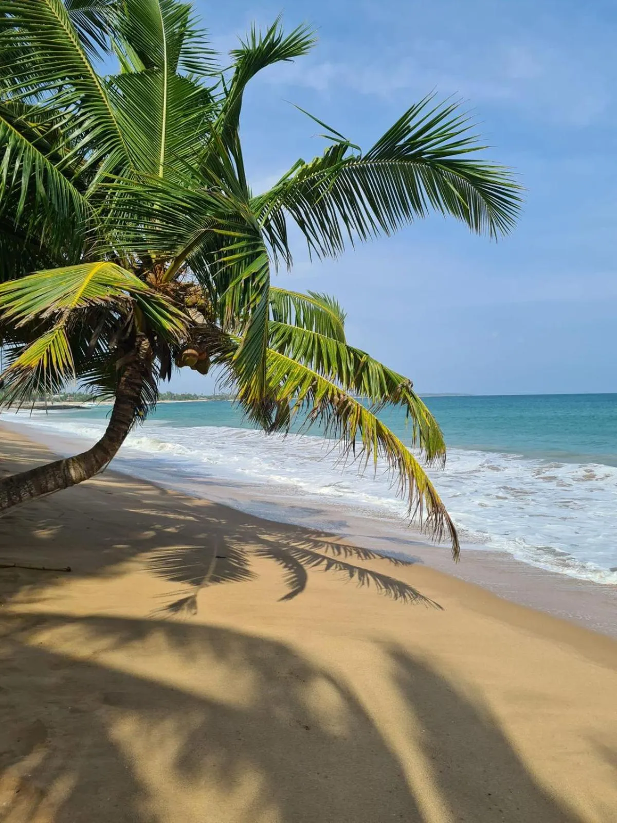 Day in Frangipani Beach Villa