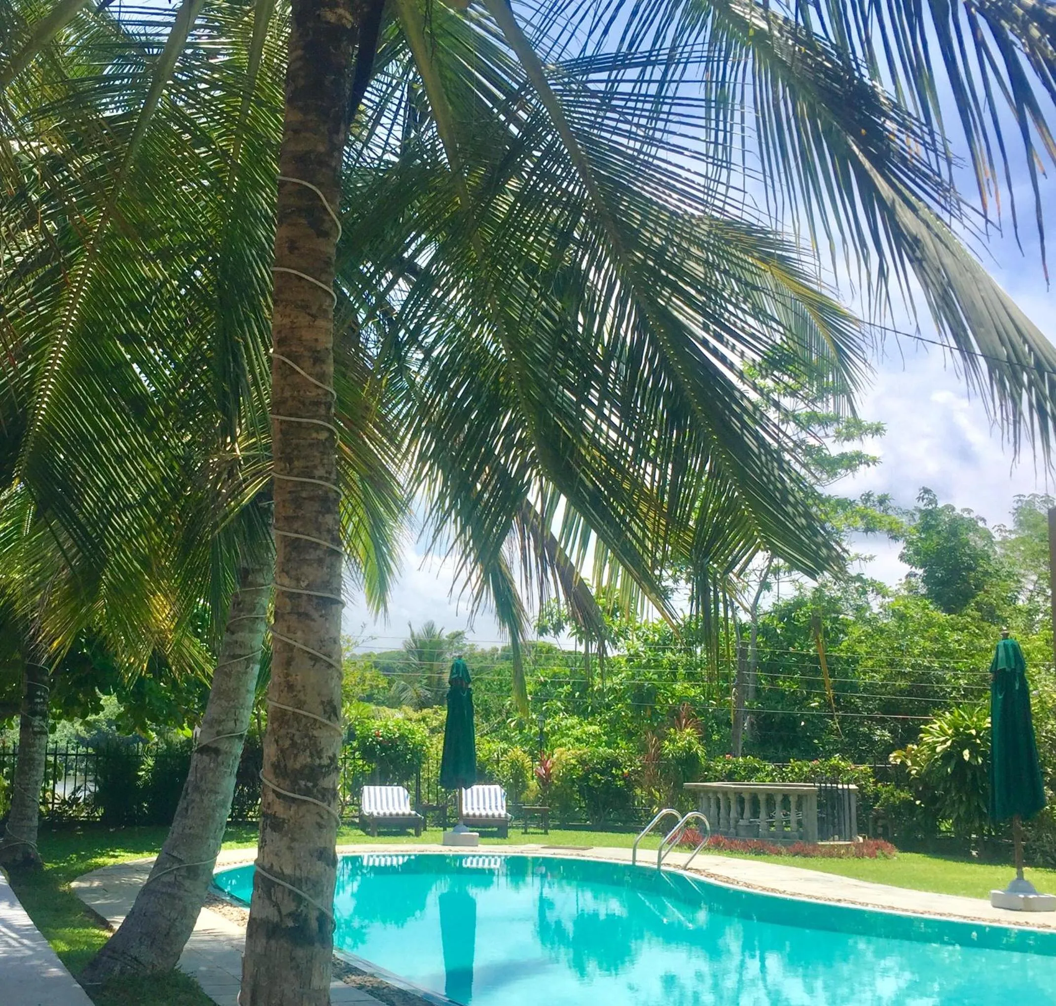 Garden in Asian Jewel Boutique Hotel