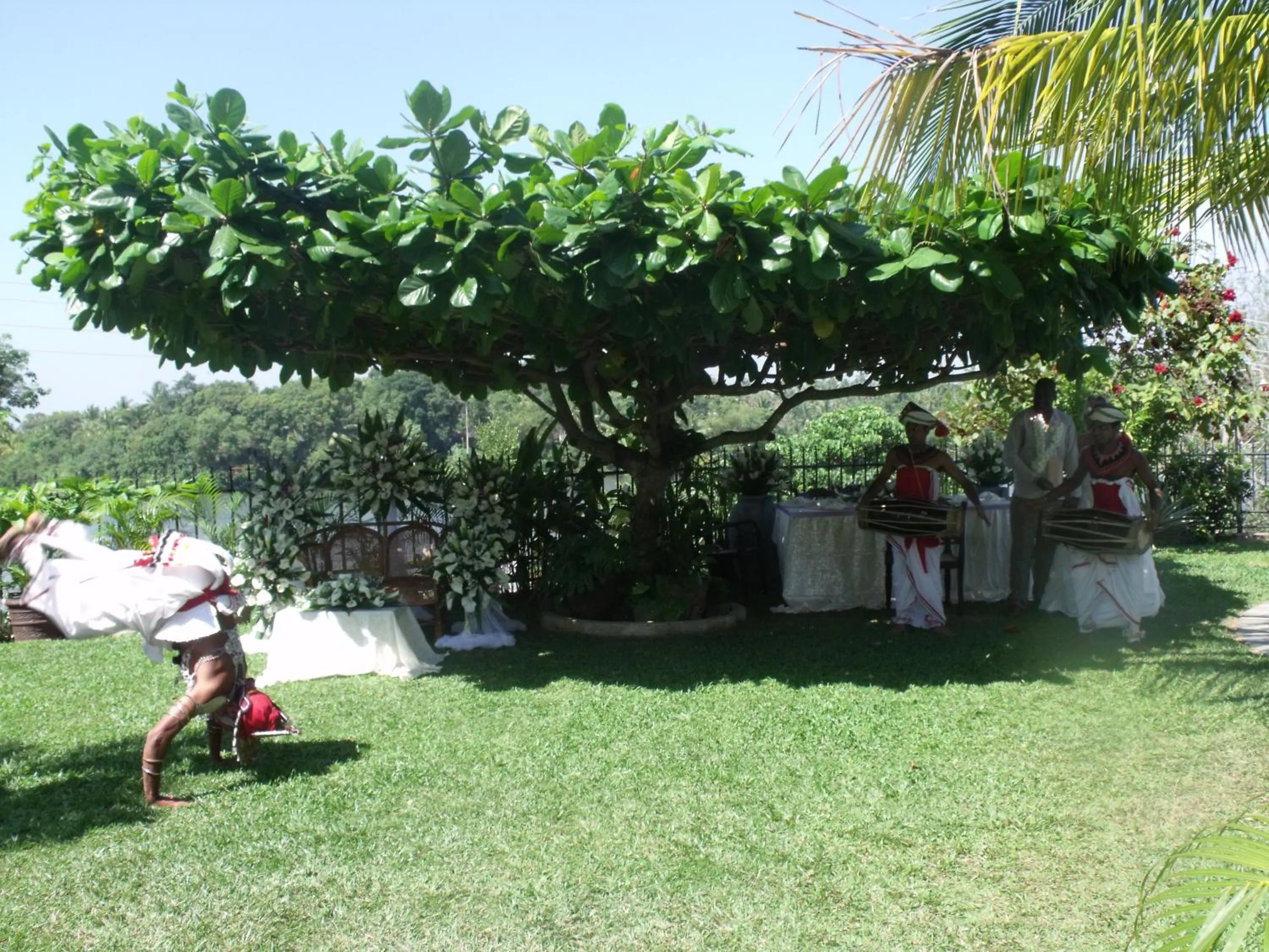 Garden in Asian Jewel Boutique Hotel