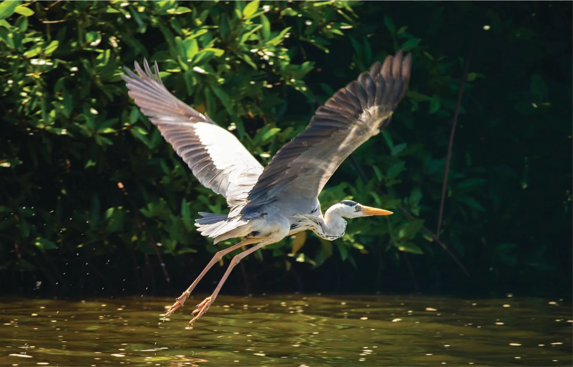 Activities in Villa Hundira