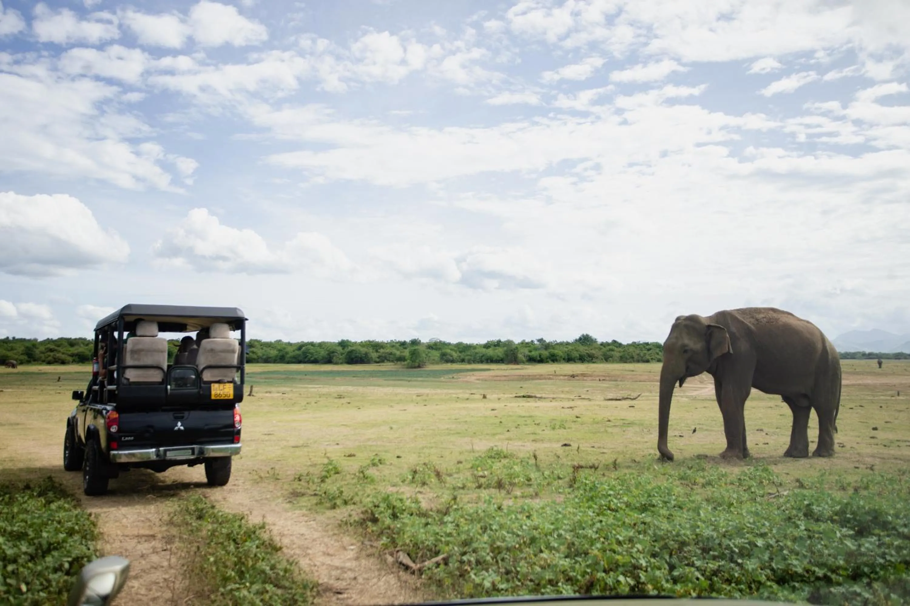Other in Kalu's Hideaway Udawalawe