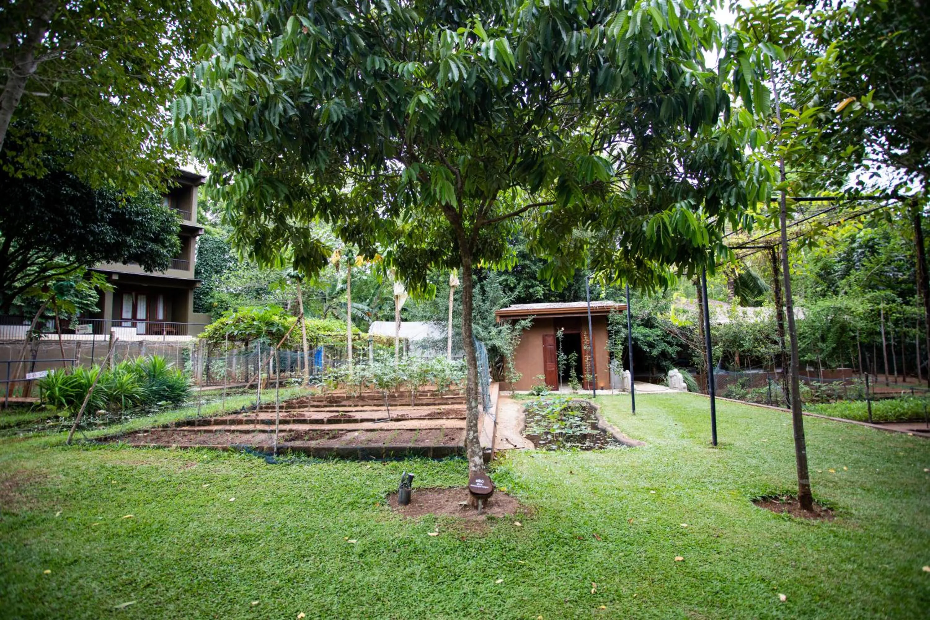 Property building in Kalu's Hideaway Udawalawe