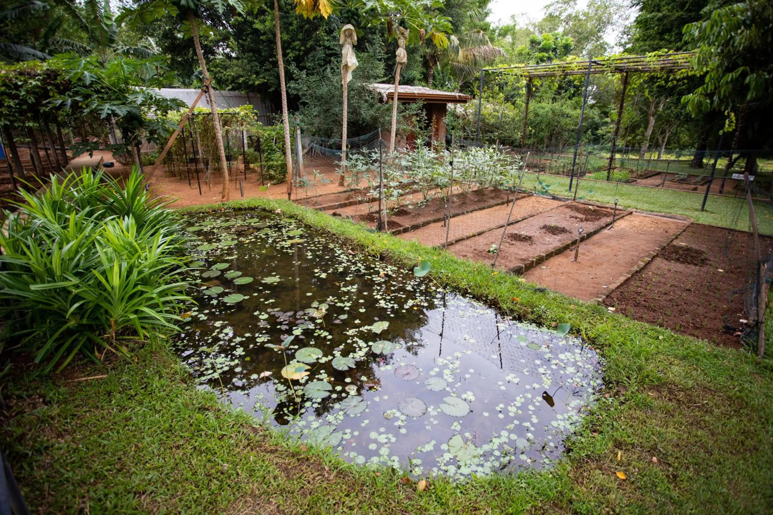 Garden in Kalu's Hideaway Udawalawe