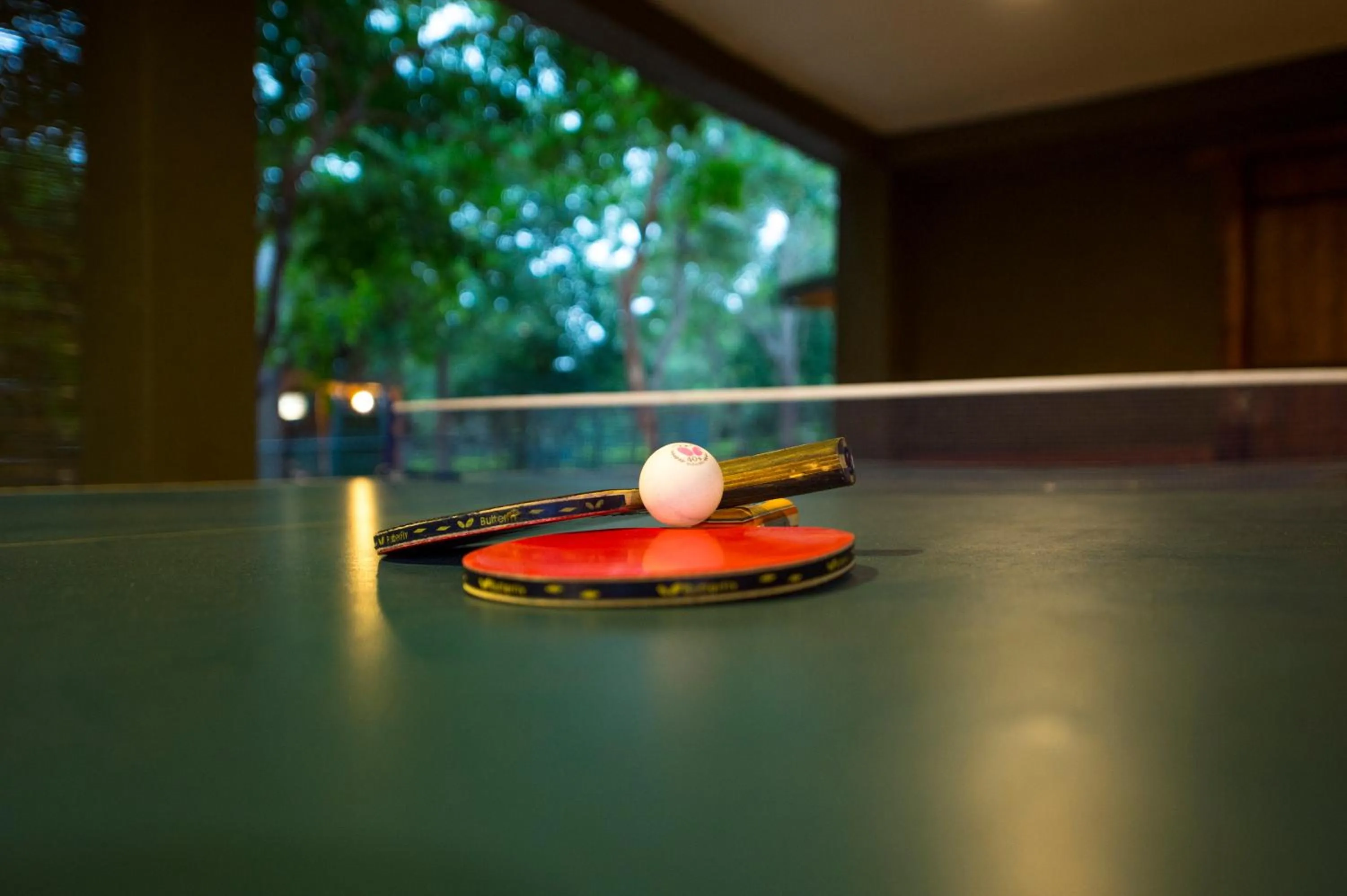 Table tennis in Kalu's Hideaway Udawalawe