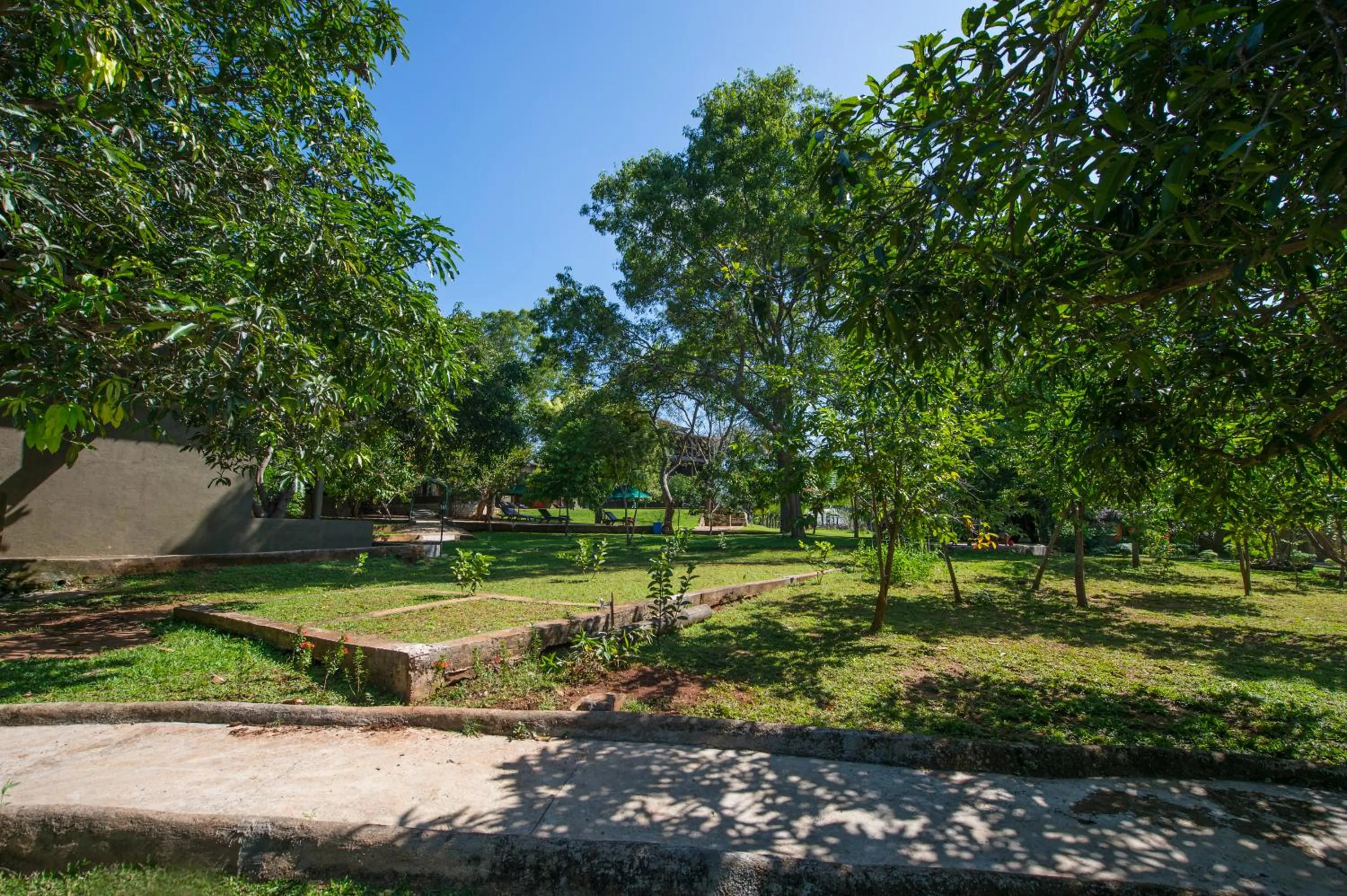 Natural landscape in Kalu's Hideaway Udawalawe