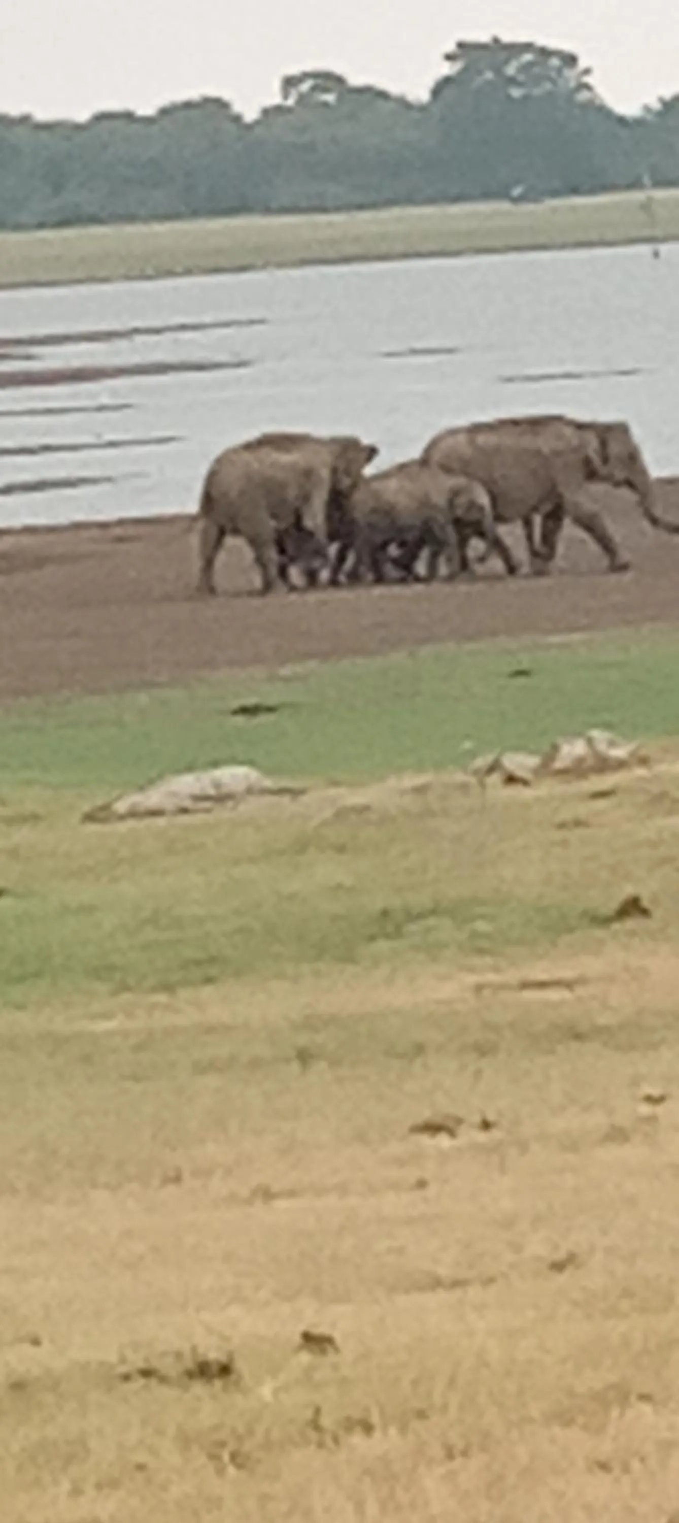 Rock Cascade Tourist Home & Cookery School