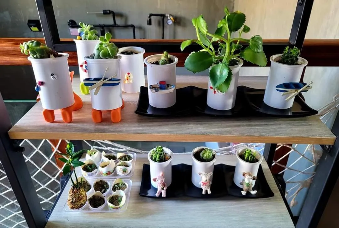 Garden view in Go Home Homestay