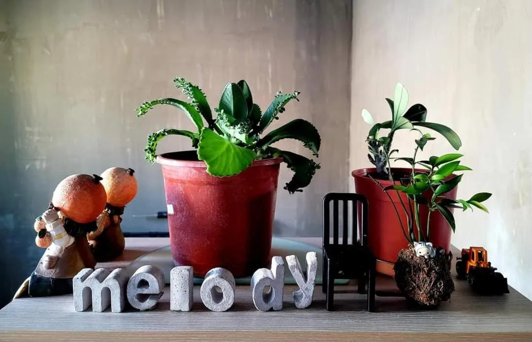 Decorative detail in Go Home Homestay