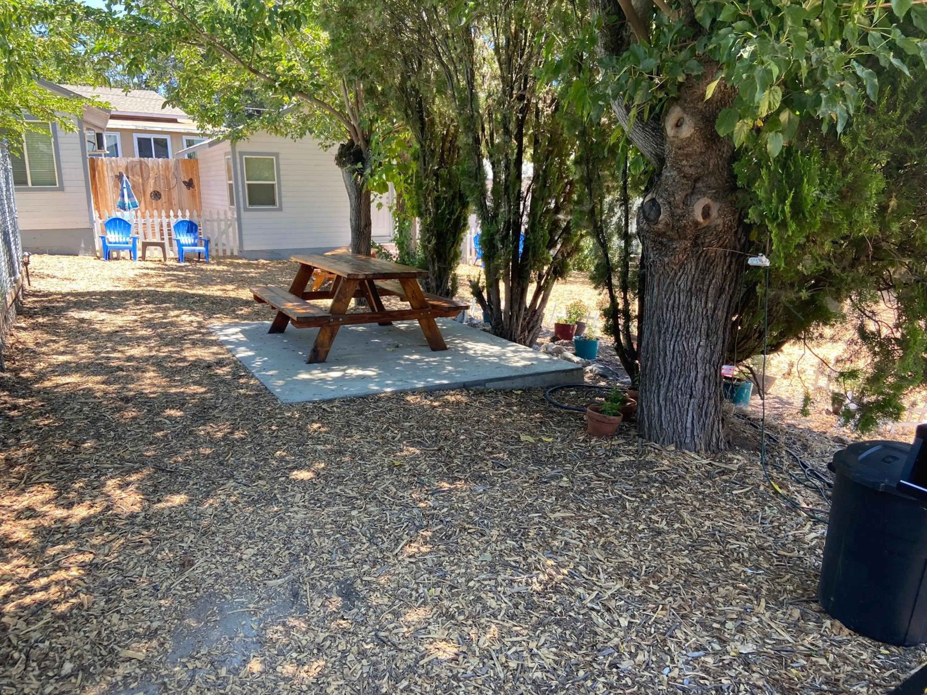 Garden view in Clearlake Cabins & Boat Parking