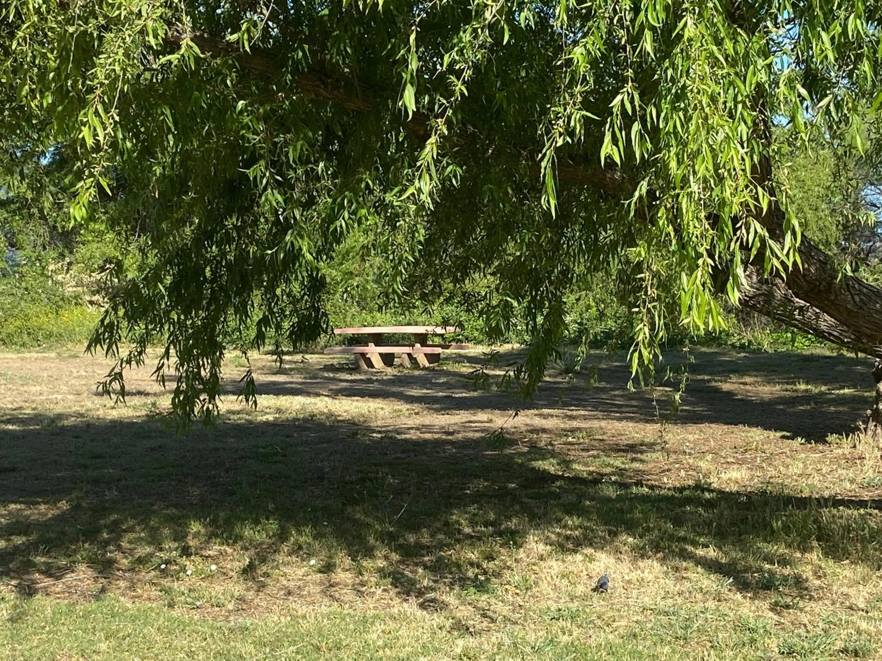 Clearlake Cabins & Boat Parking