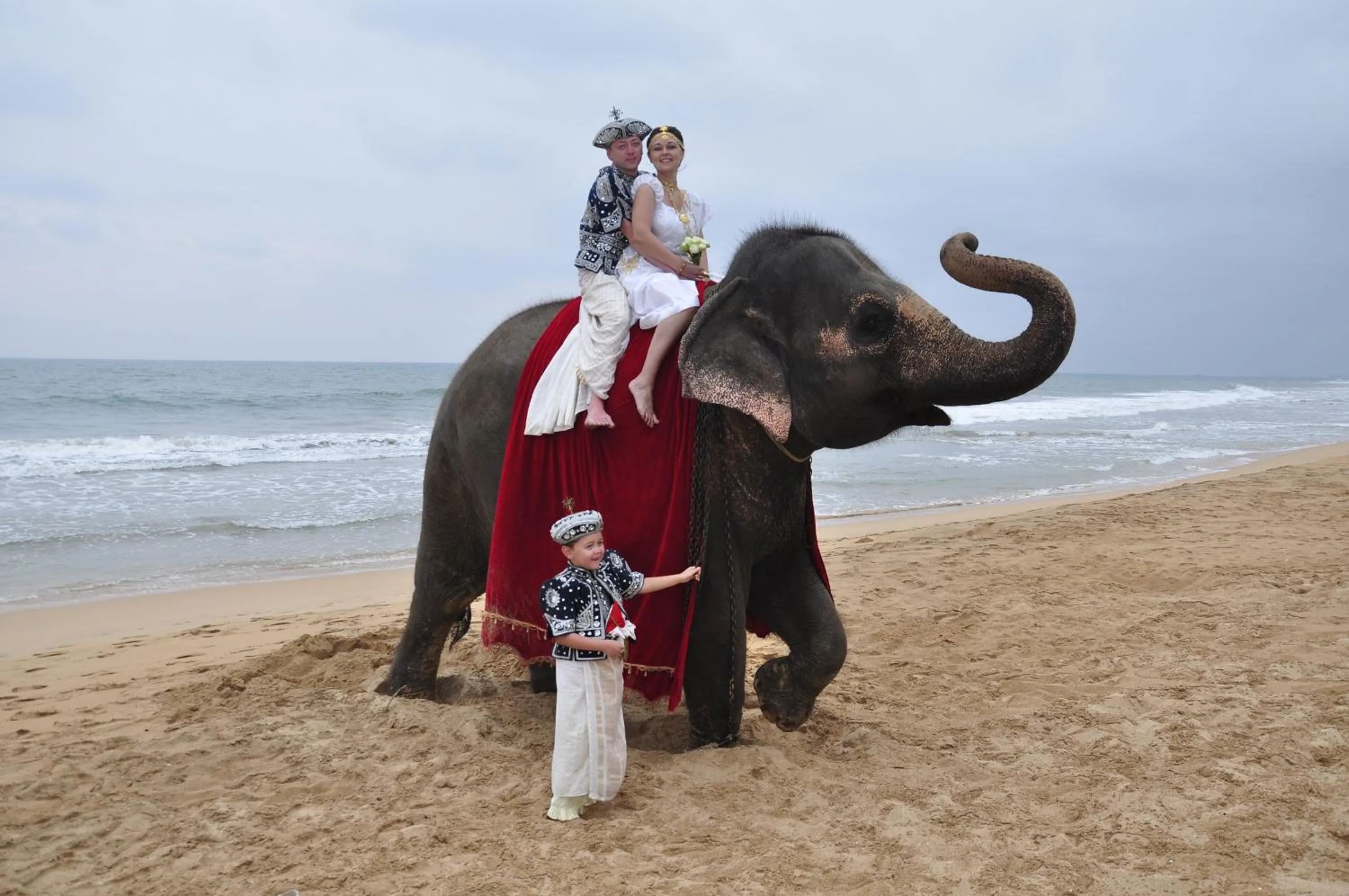 Animals in Sea Rock Villa